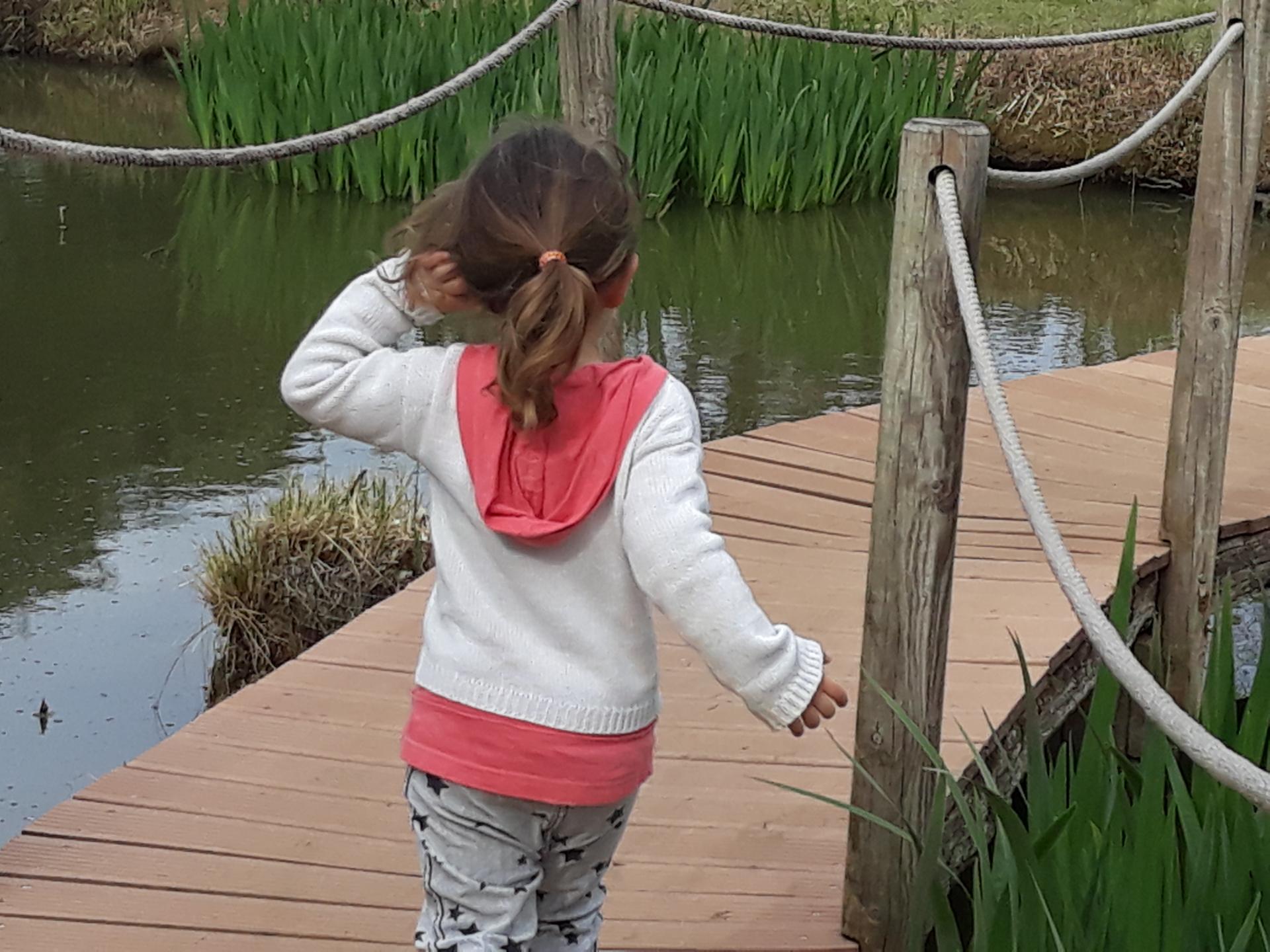 20180402_171343.jpg