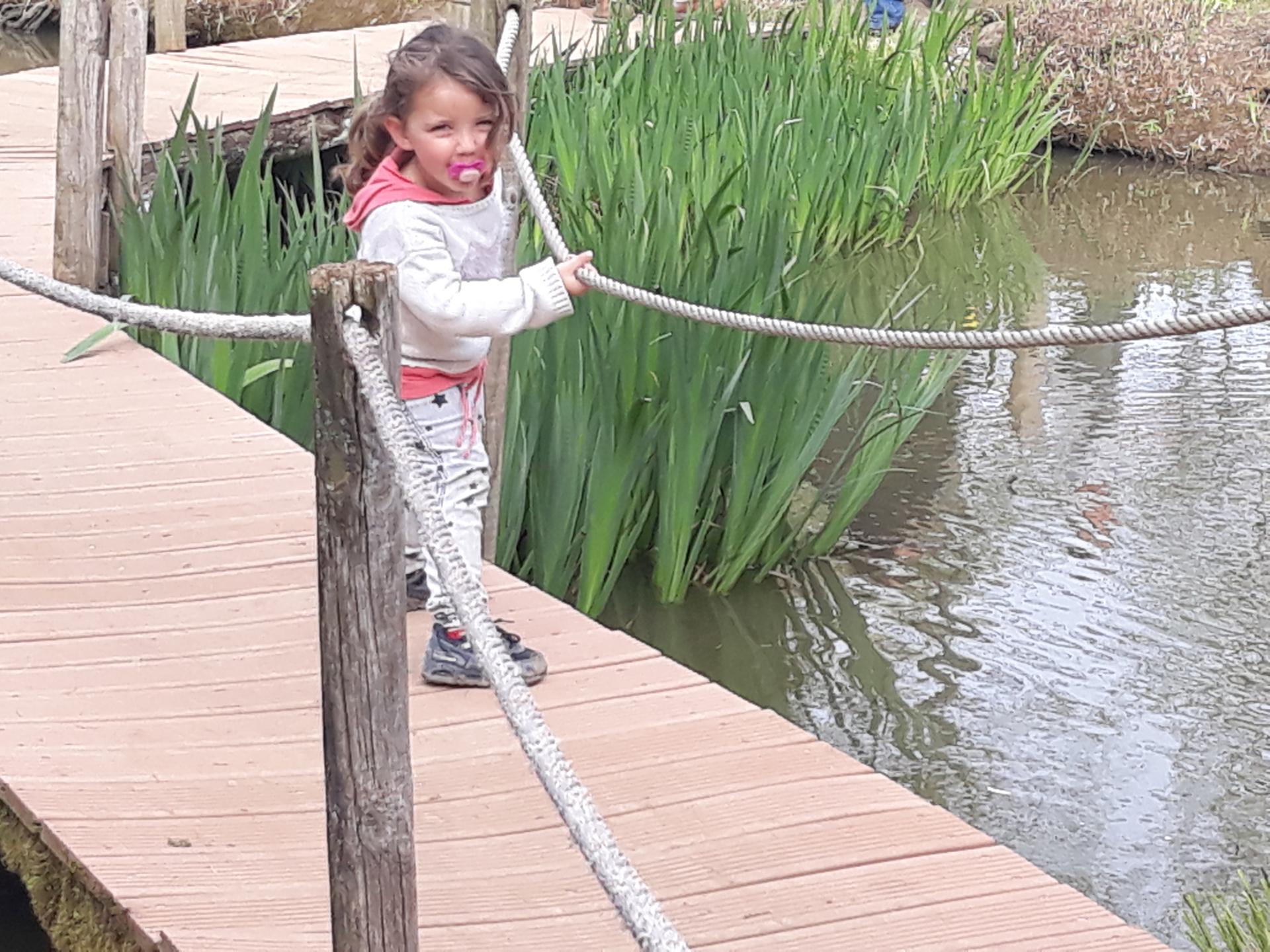 20180402_171337.jpg