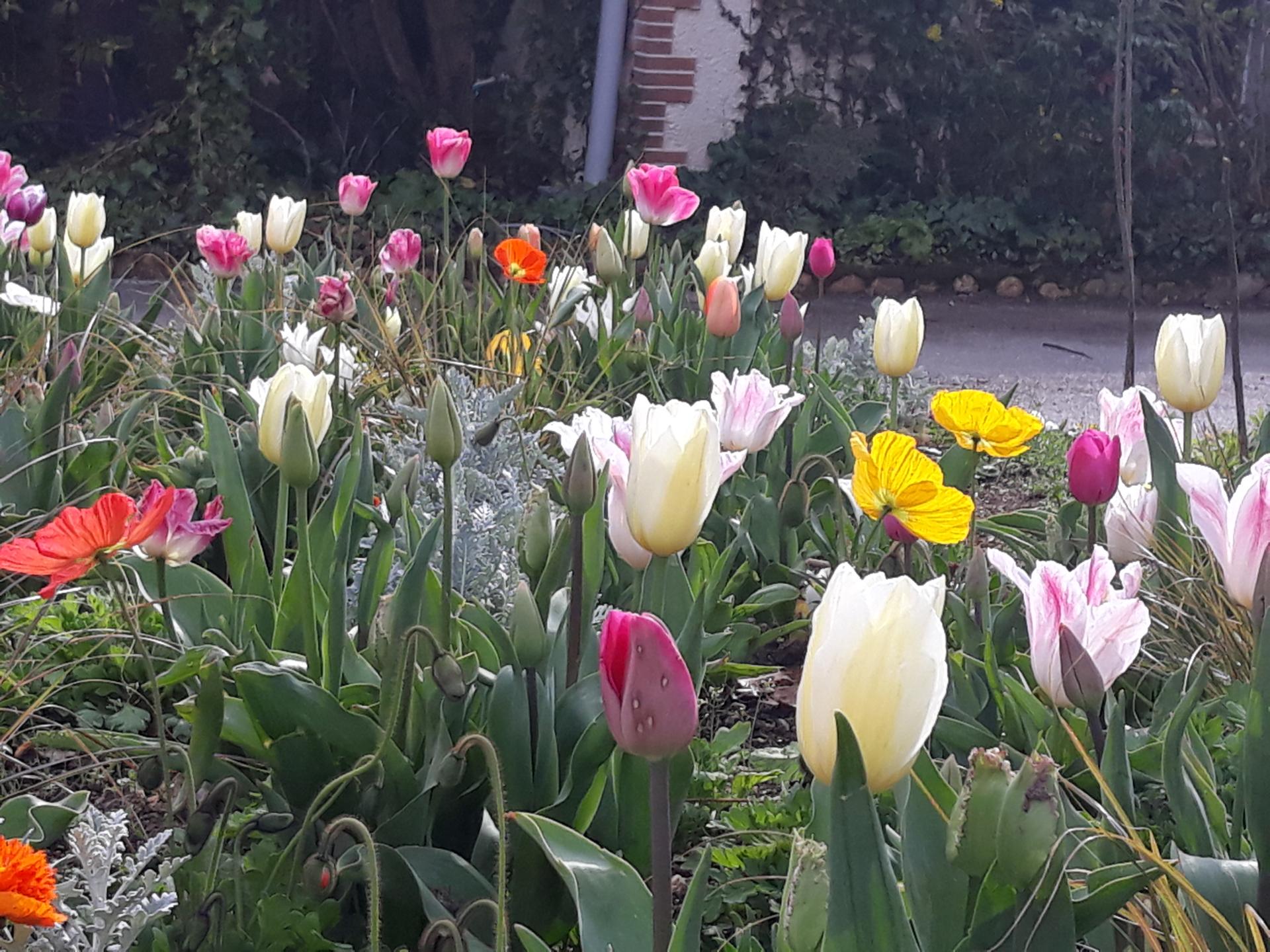 20180402_171045.jpg