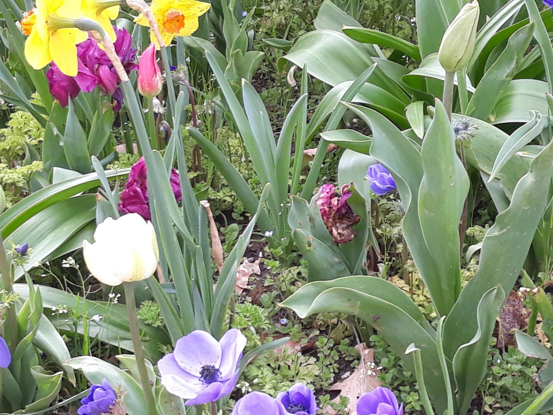 20180402_171027.jpg