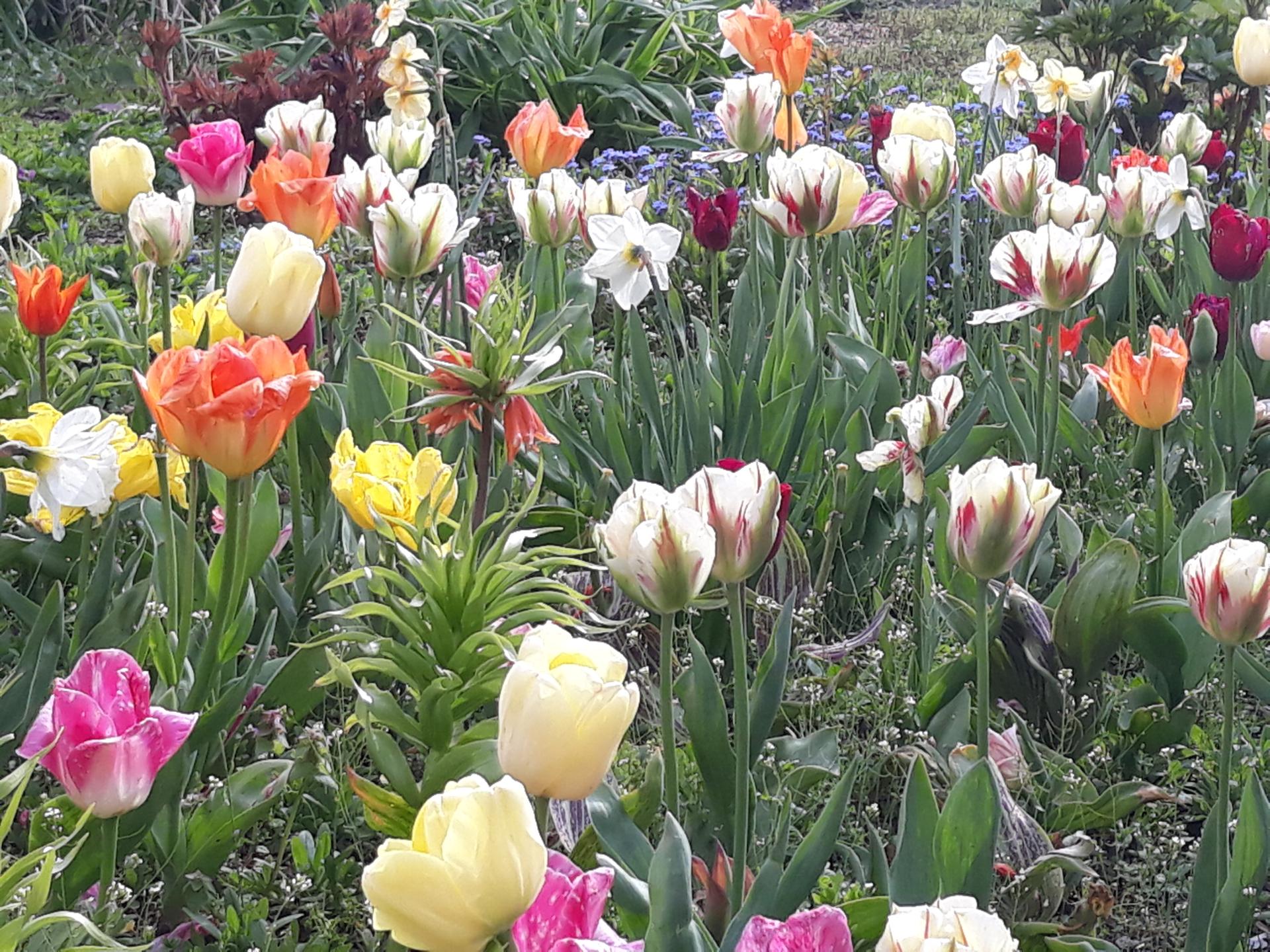 20180402_171006.jpg