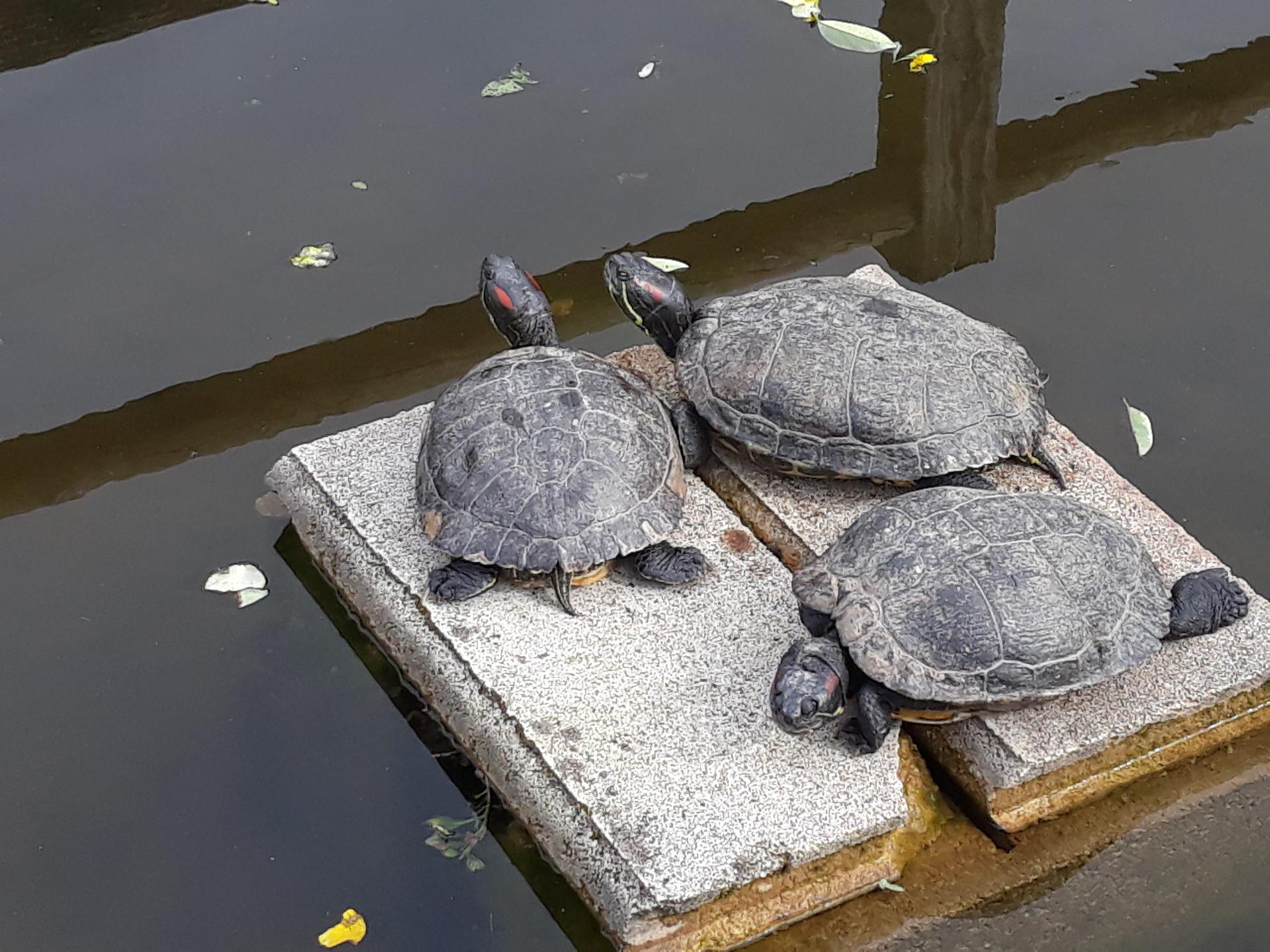 20180402_170934.jpg
