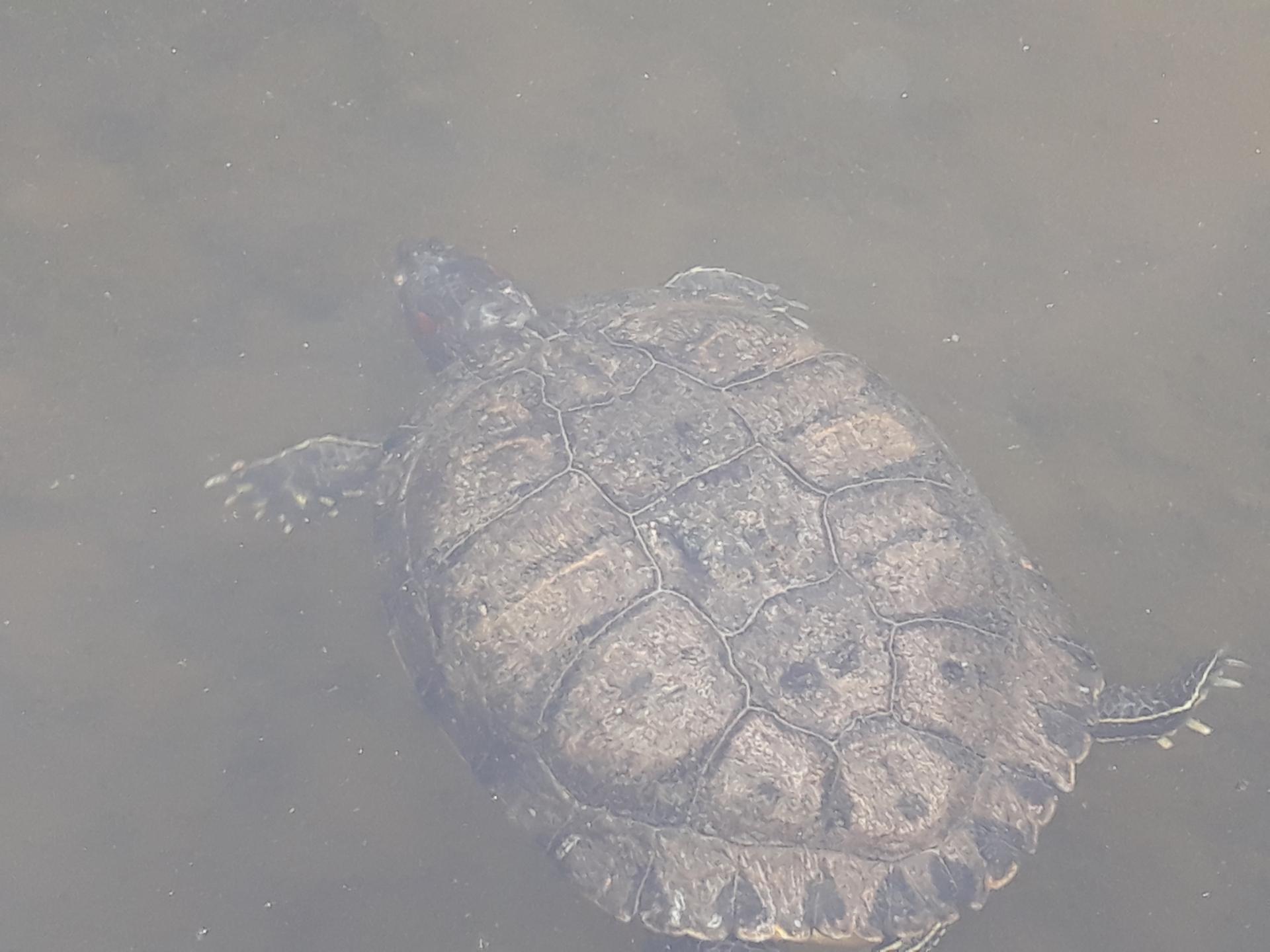 20180402_170905.jpg