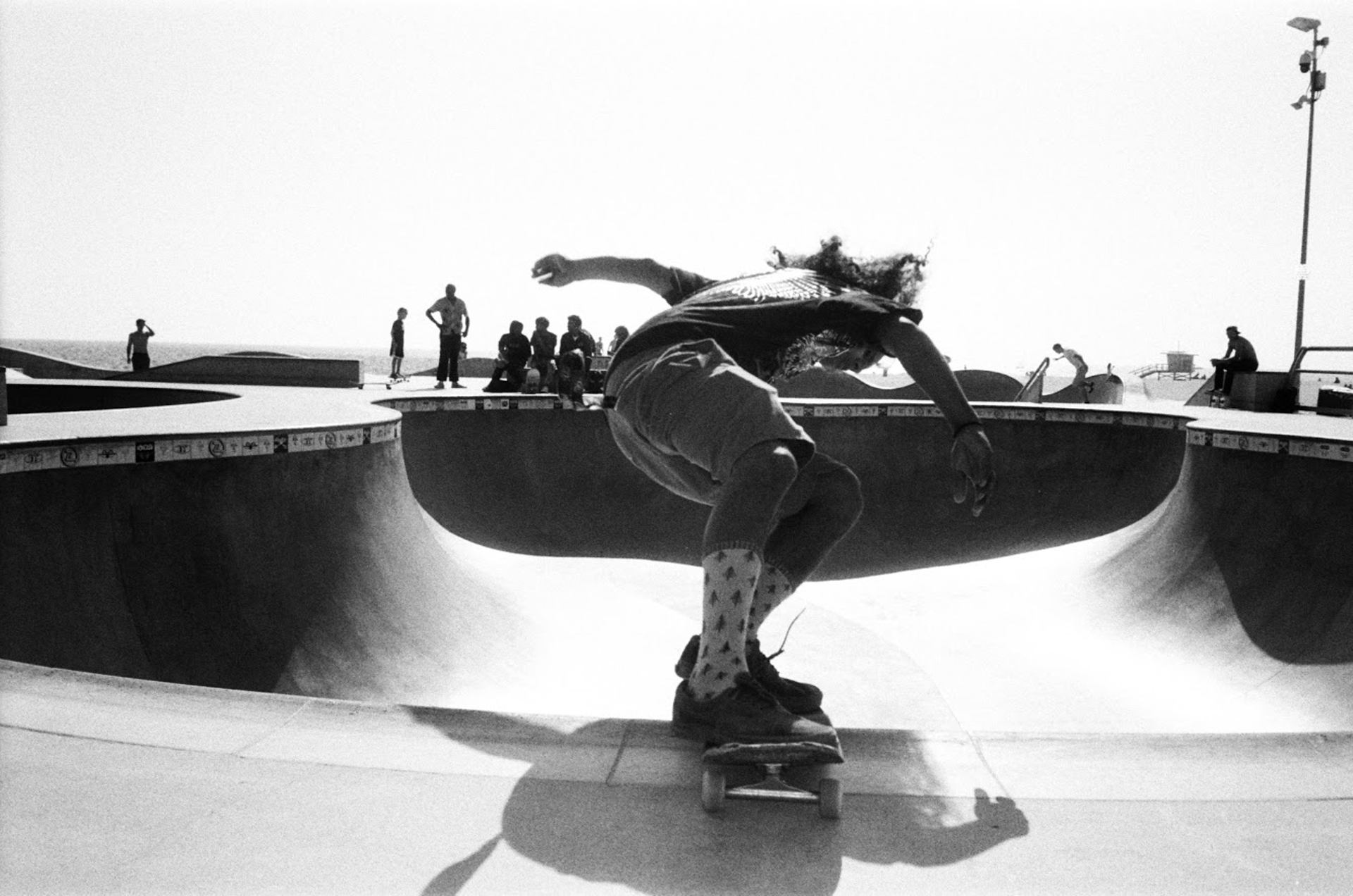 Young, Wild and Free