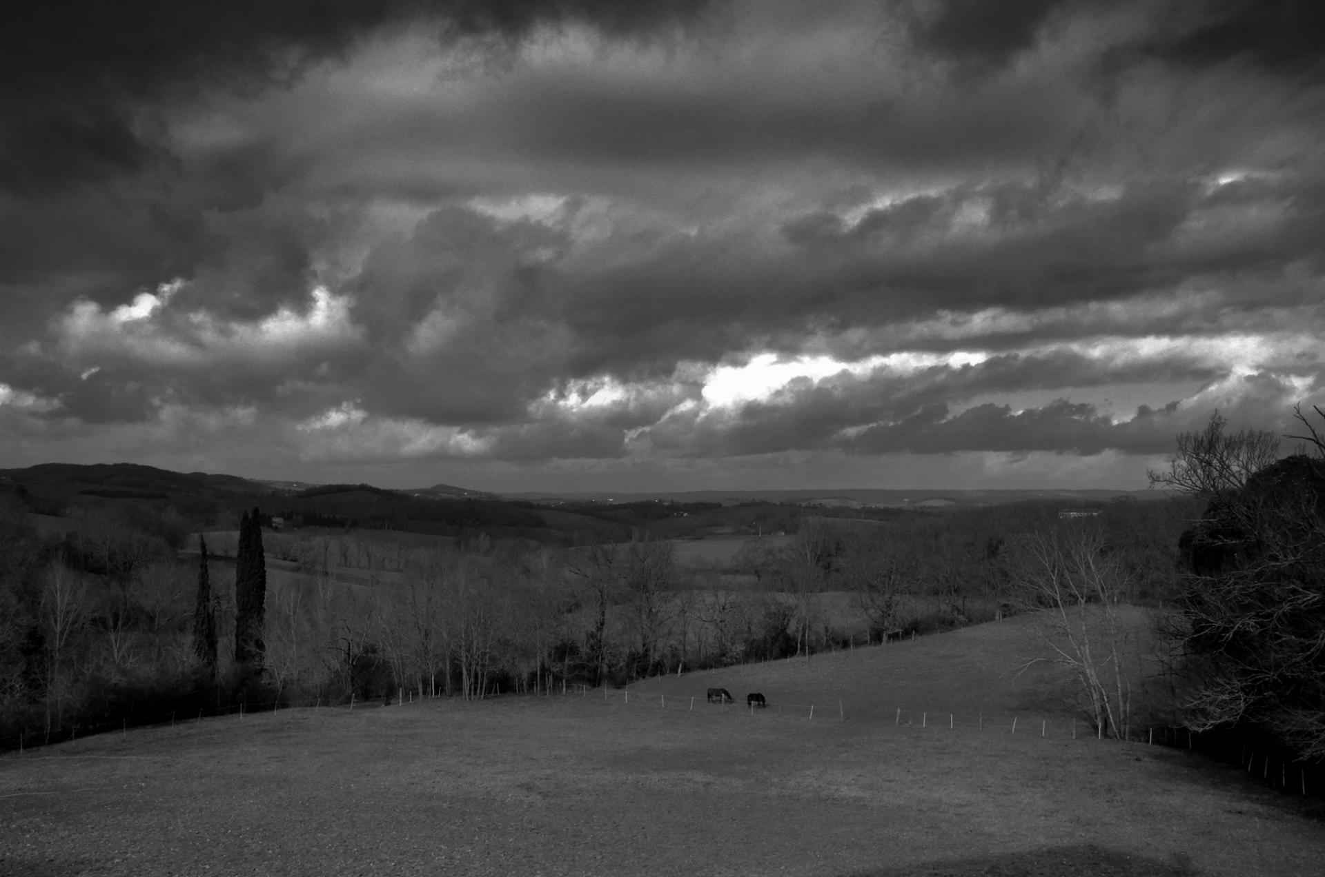 DSC_5521.JPG