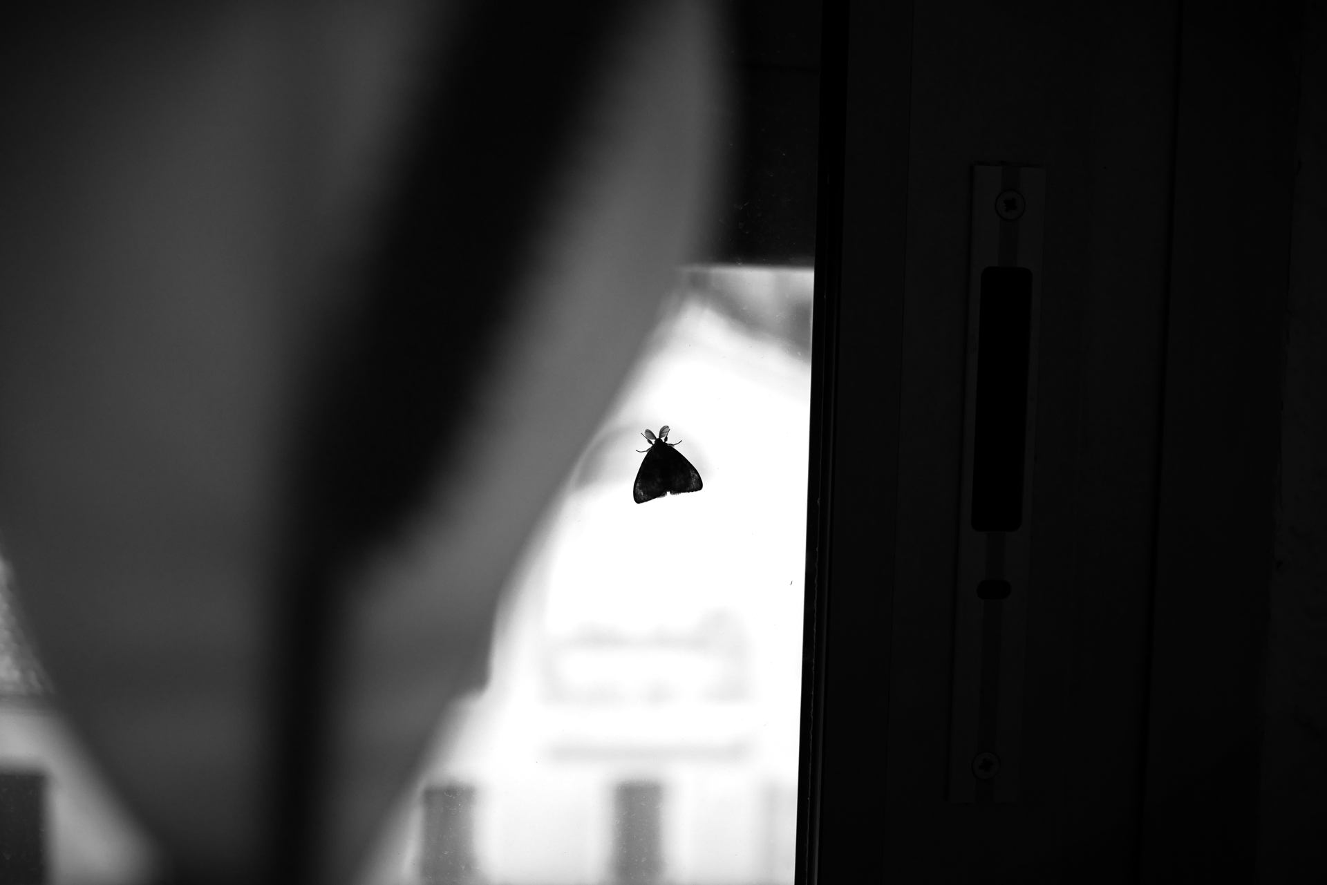 P1220555.JPG