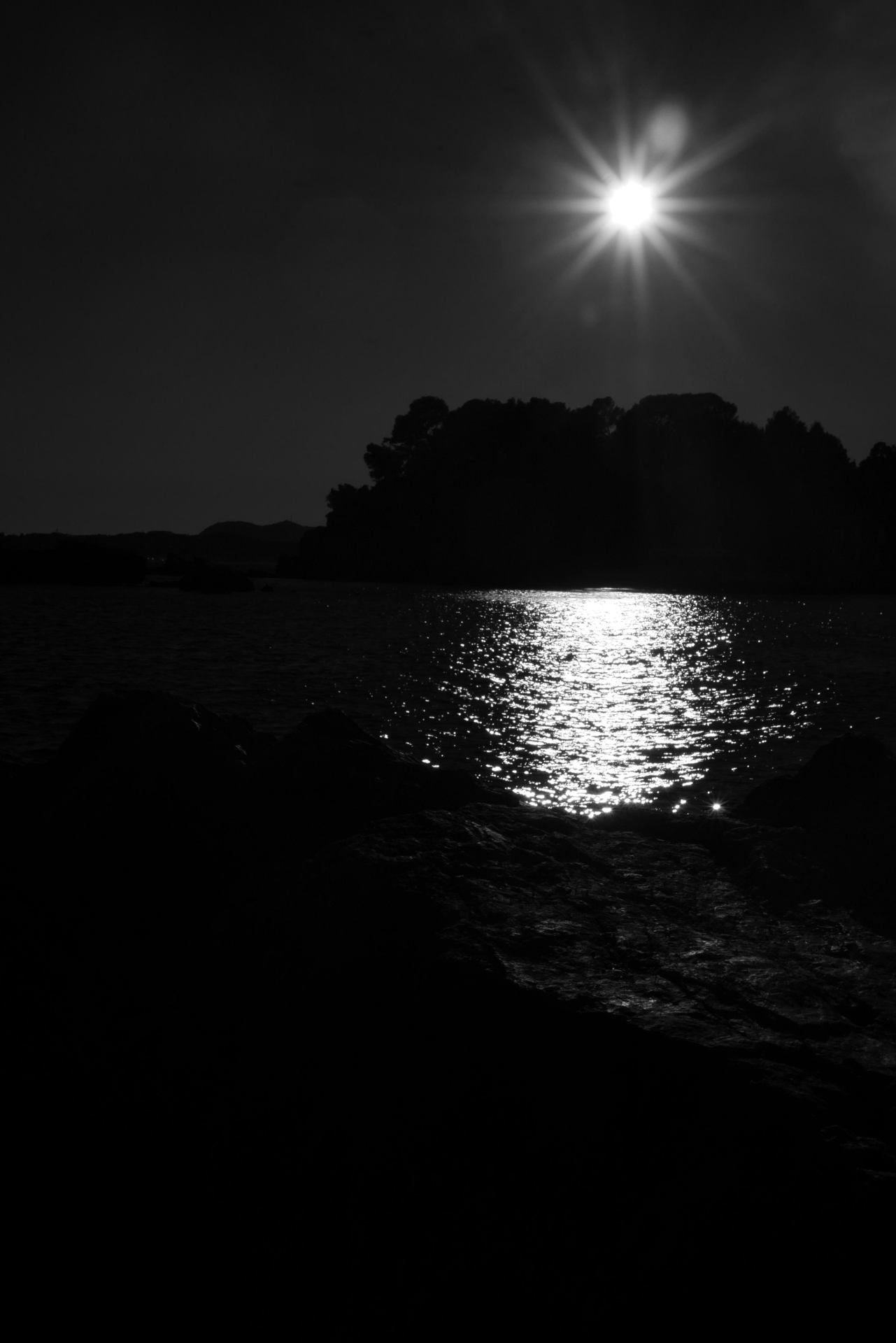 P1250383.JPG