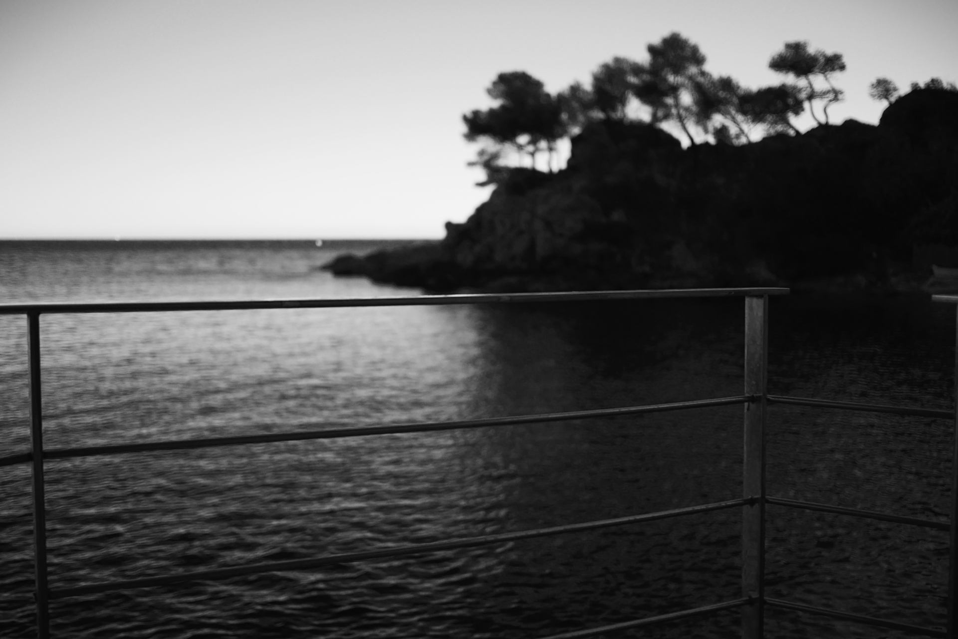 P1250436.JPG