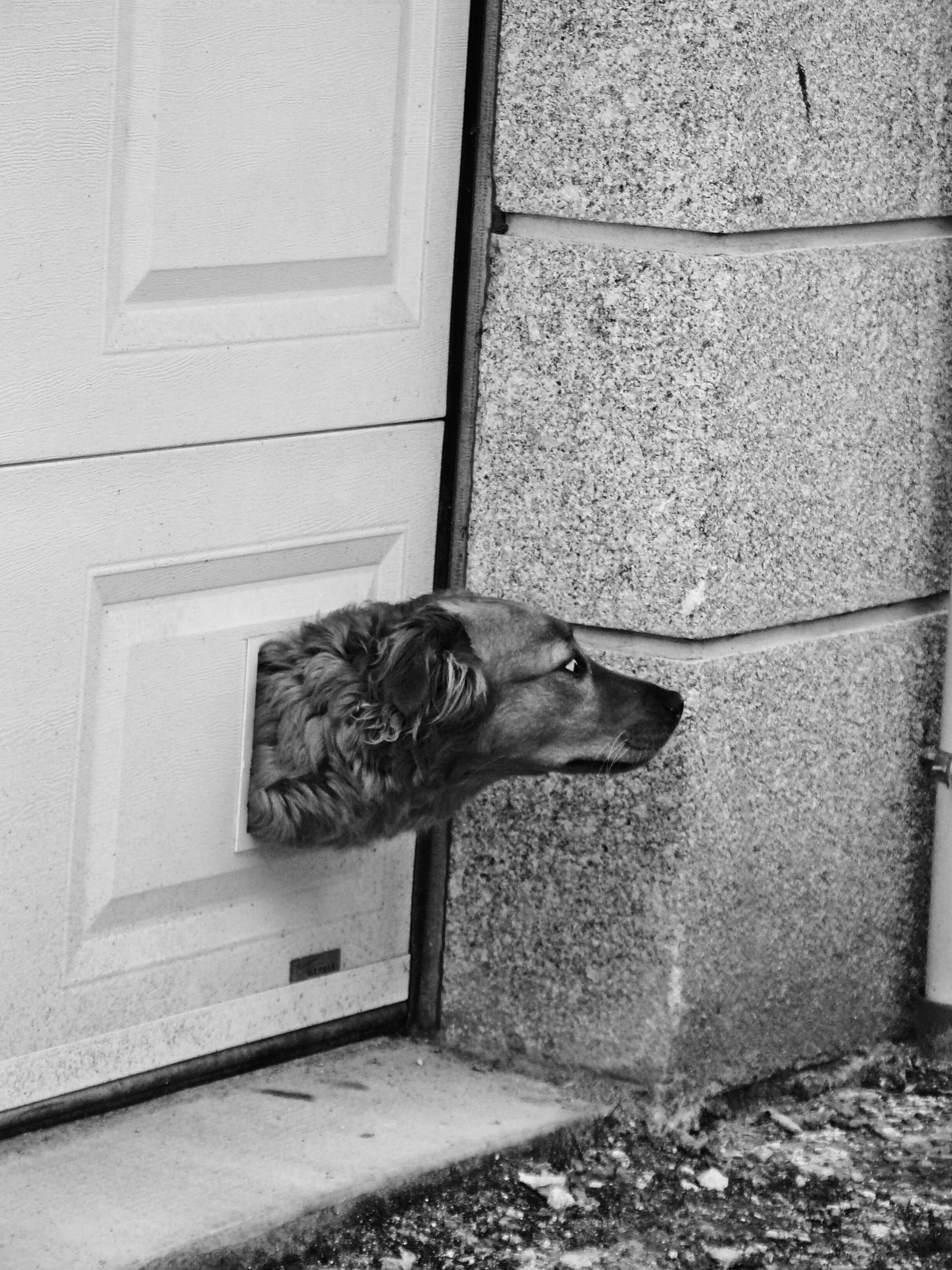 "je t'attendrai à la porte du garage..."