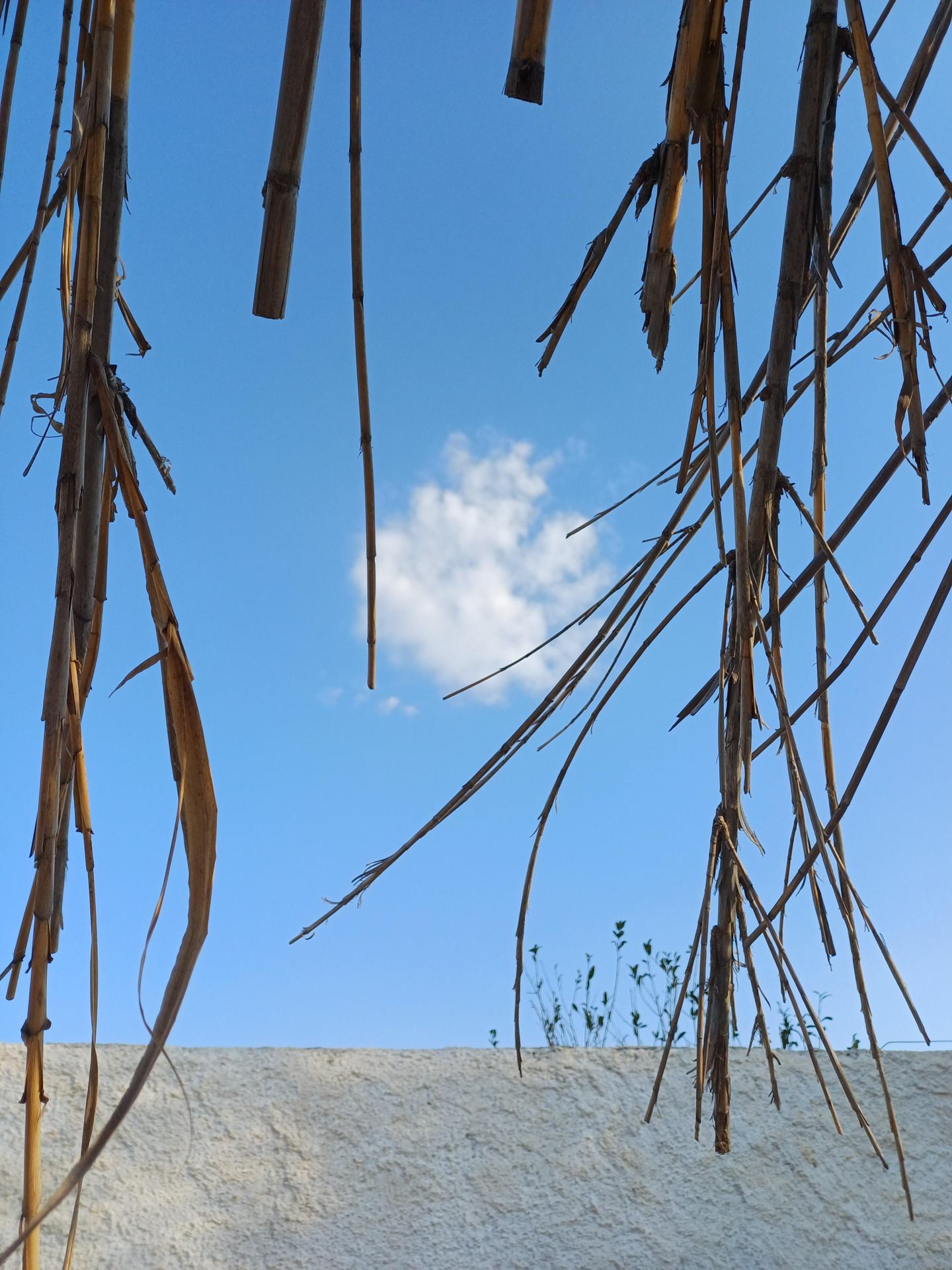 Le petit nuage