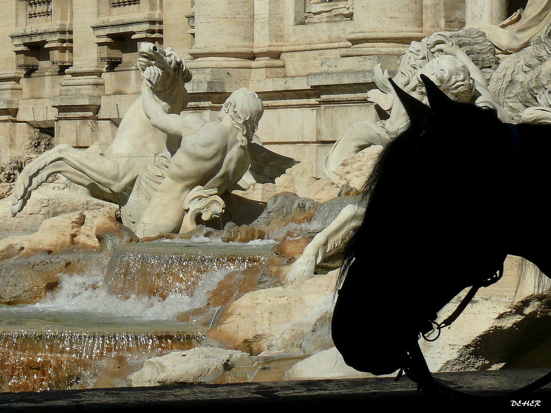 Rome fontaine de Trevize.jpg