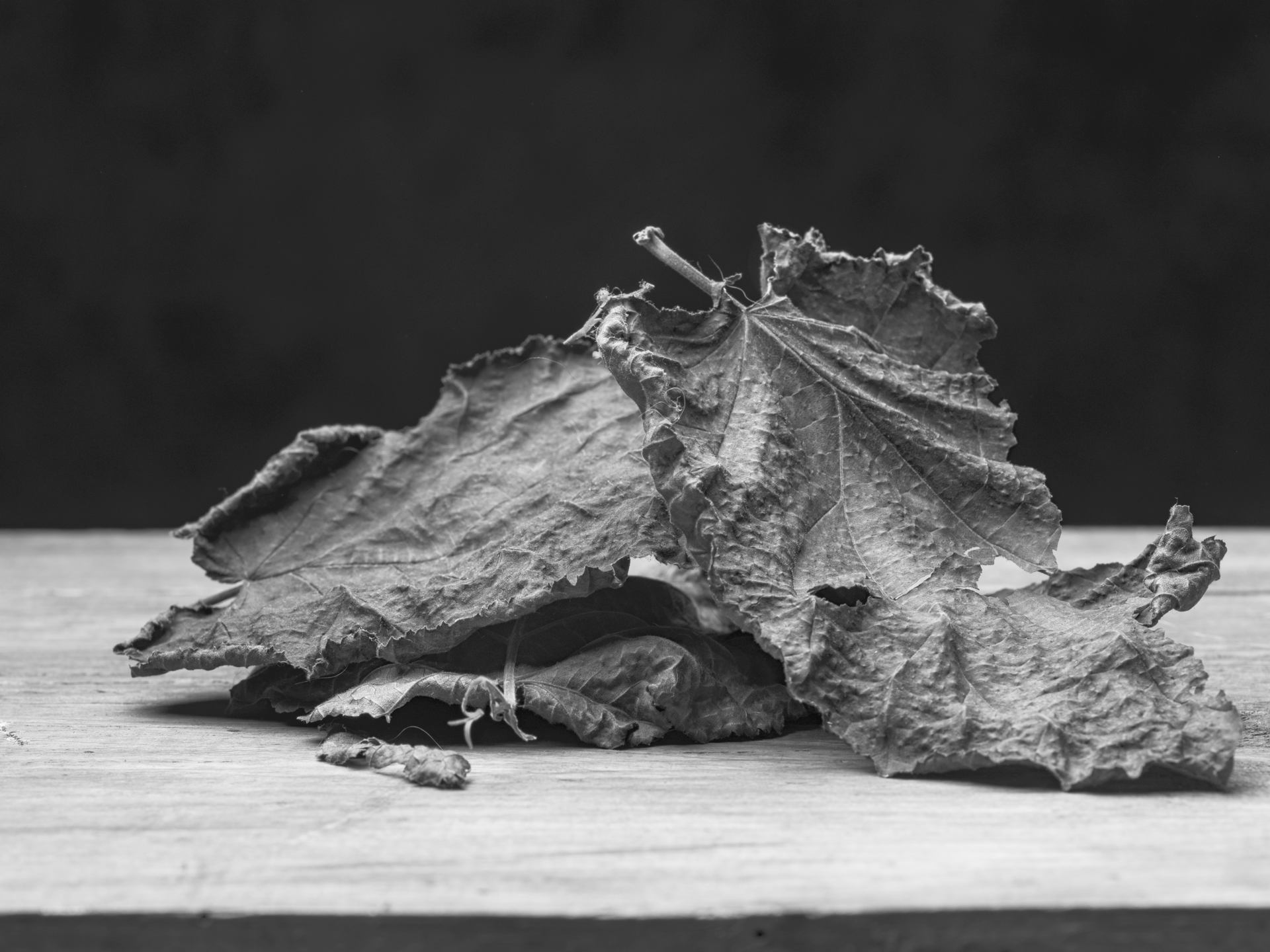 Détails nature morte