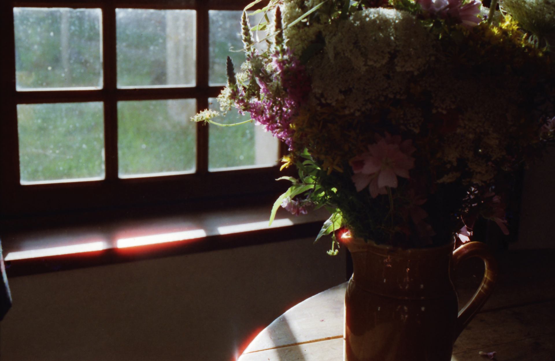 Reflet floral