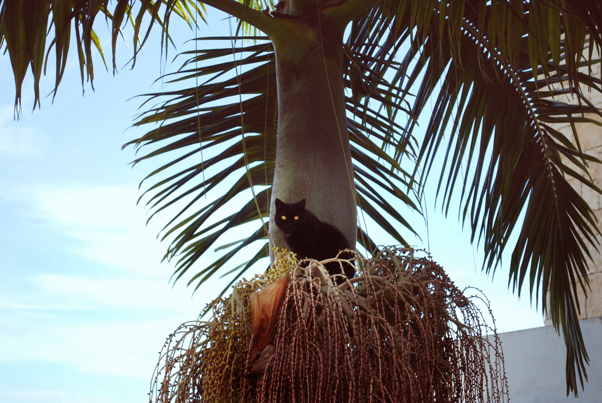 Equilibriste
