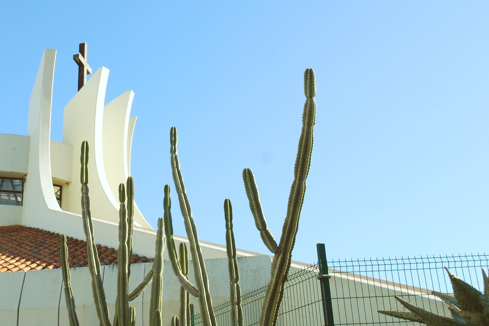 A place in the heaven #46