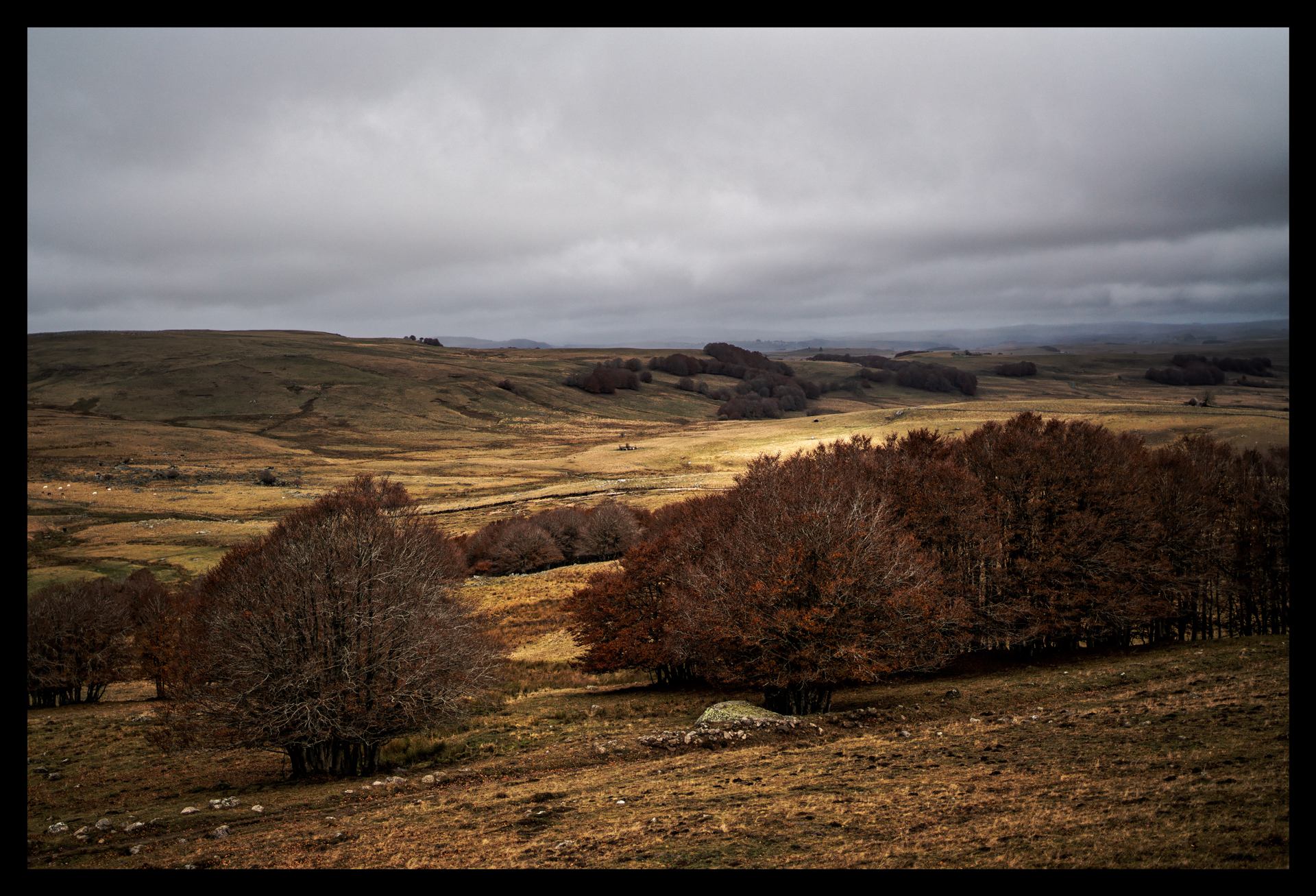 le soleil de l'aubrac