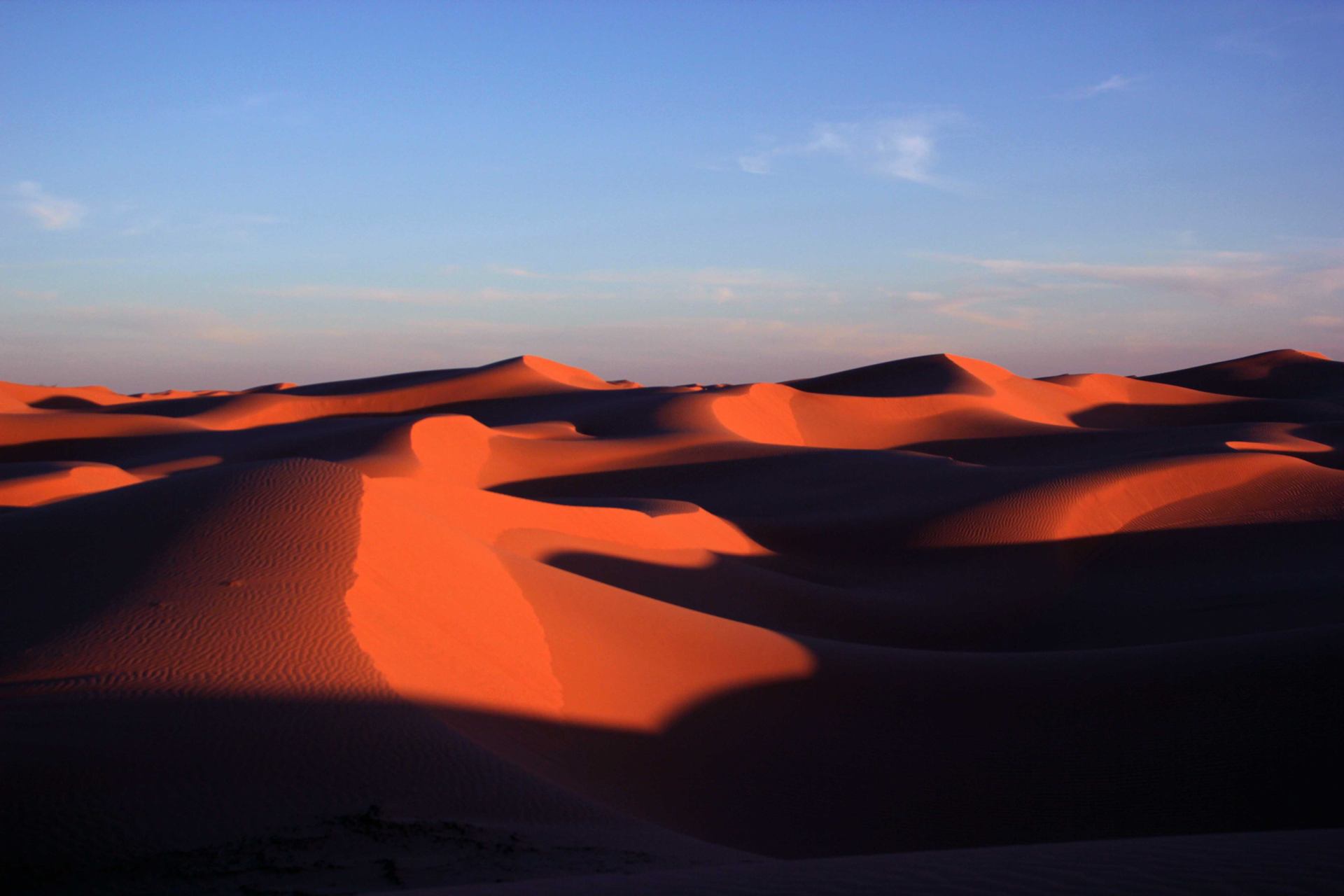 le ténéré de timimoun 