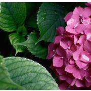 Classement final : 941