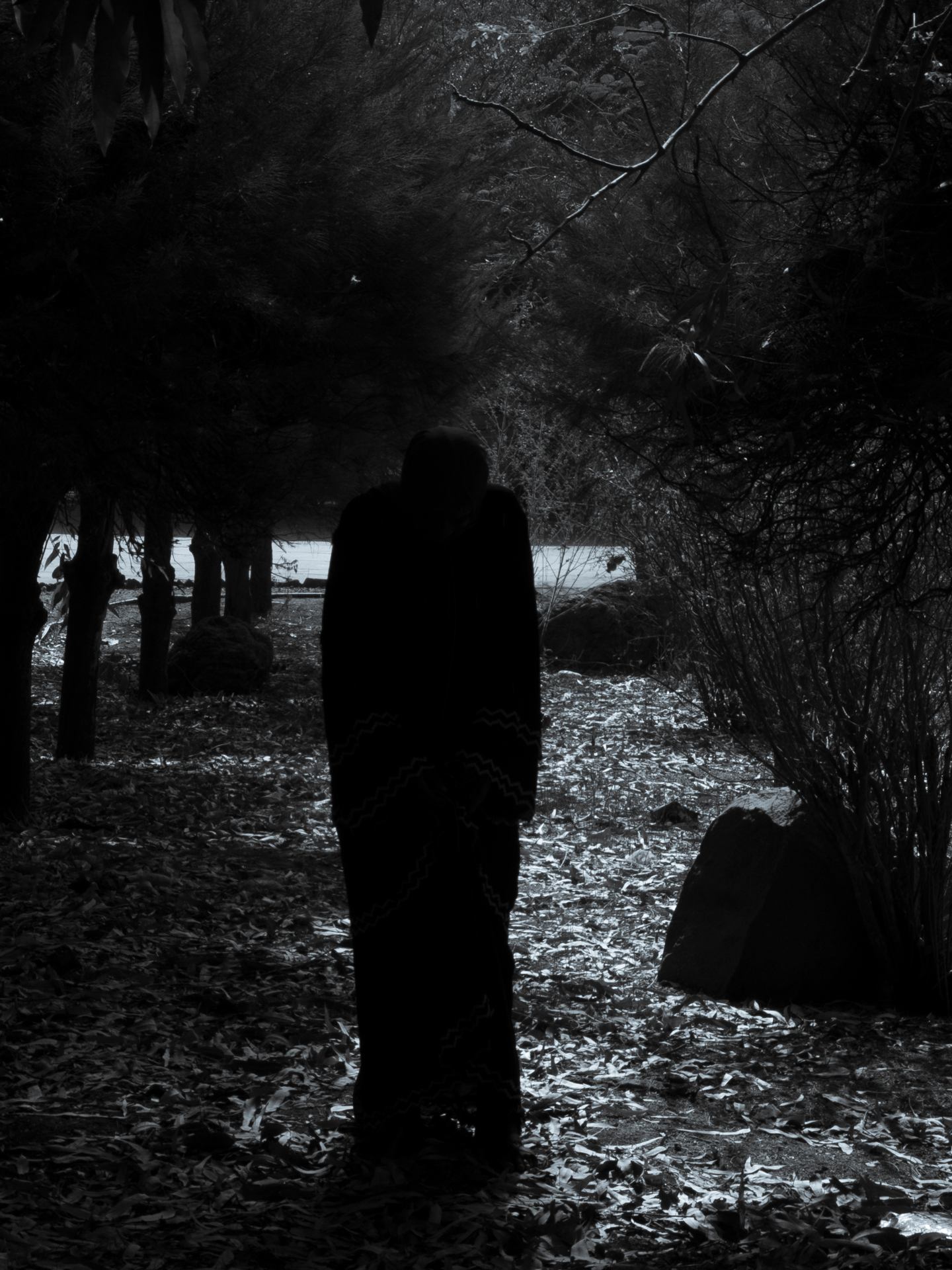 DSCF7731.JPG