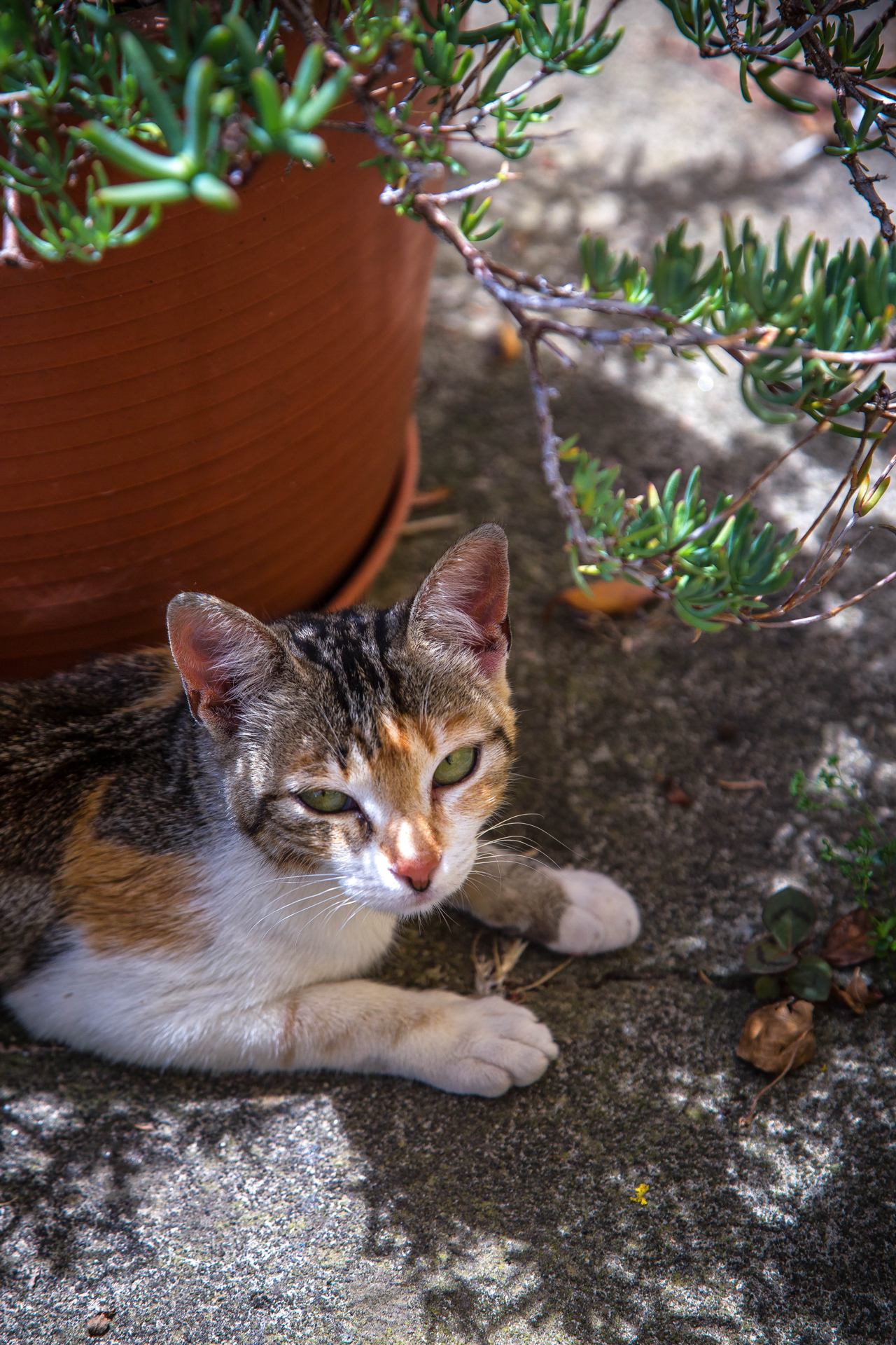 IMG_4891-Modifier.jpg