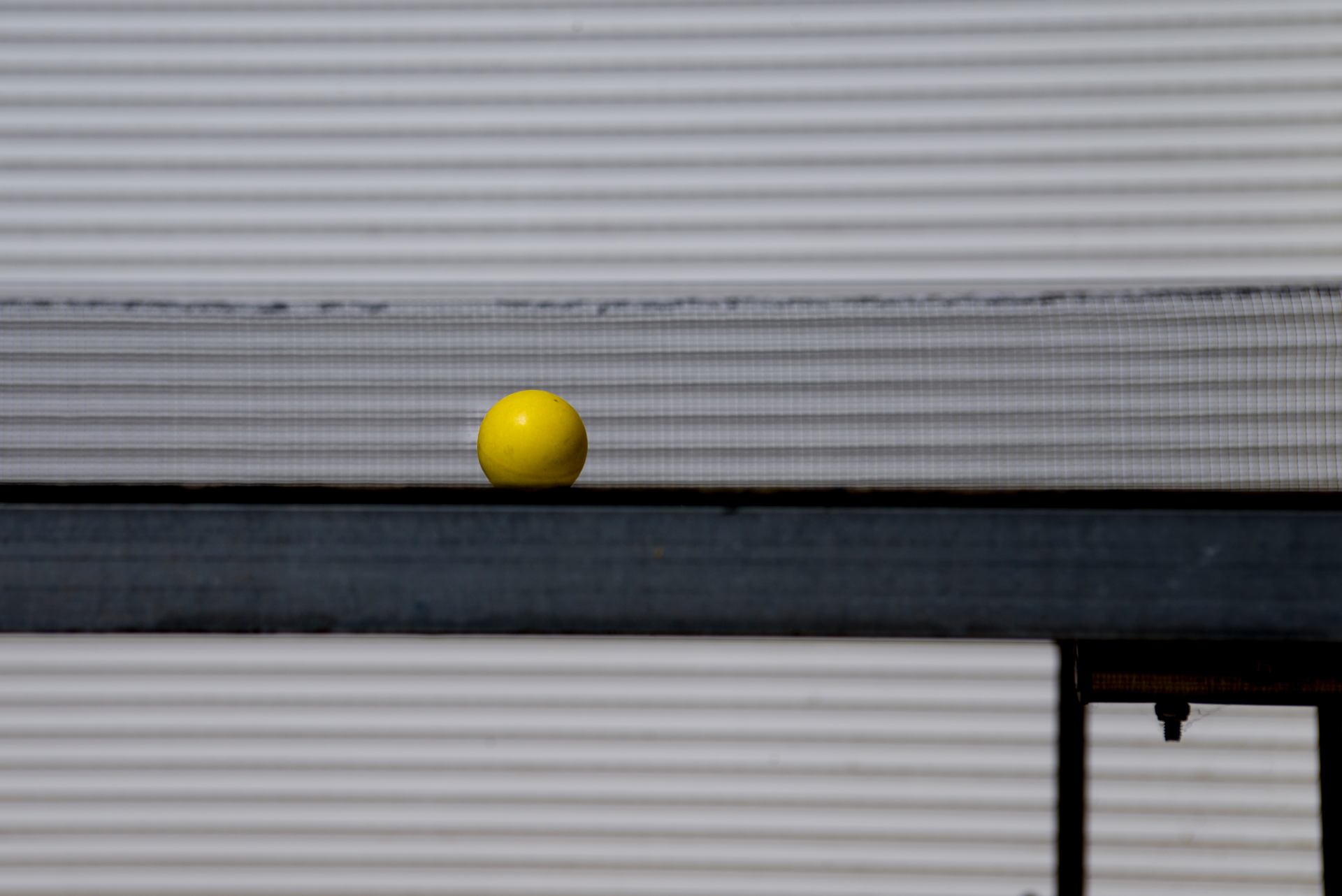 la balle