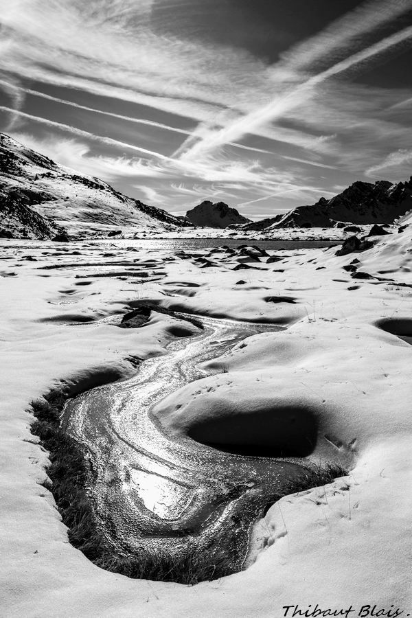 serpent glacé