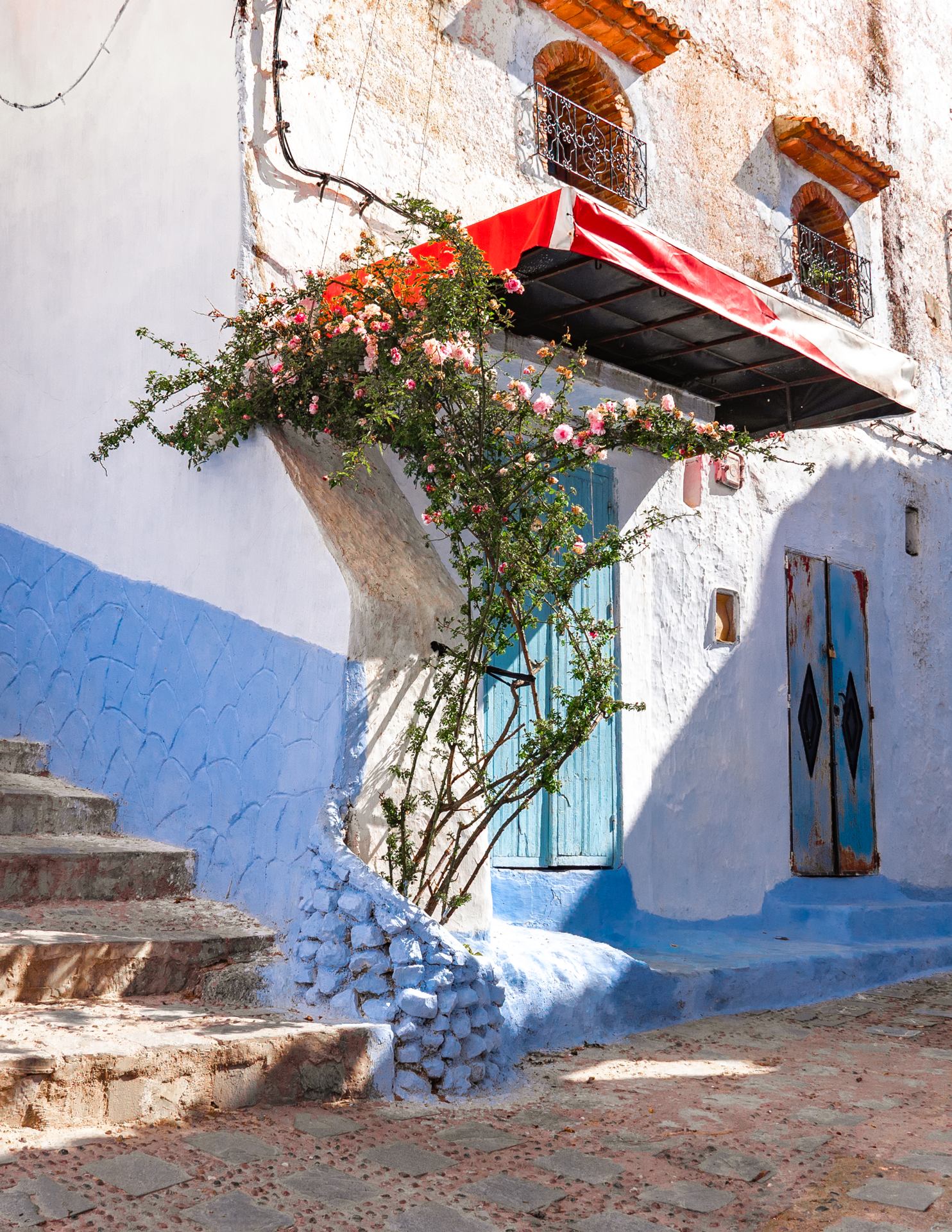 Le rosier de Chefchaouen
