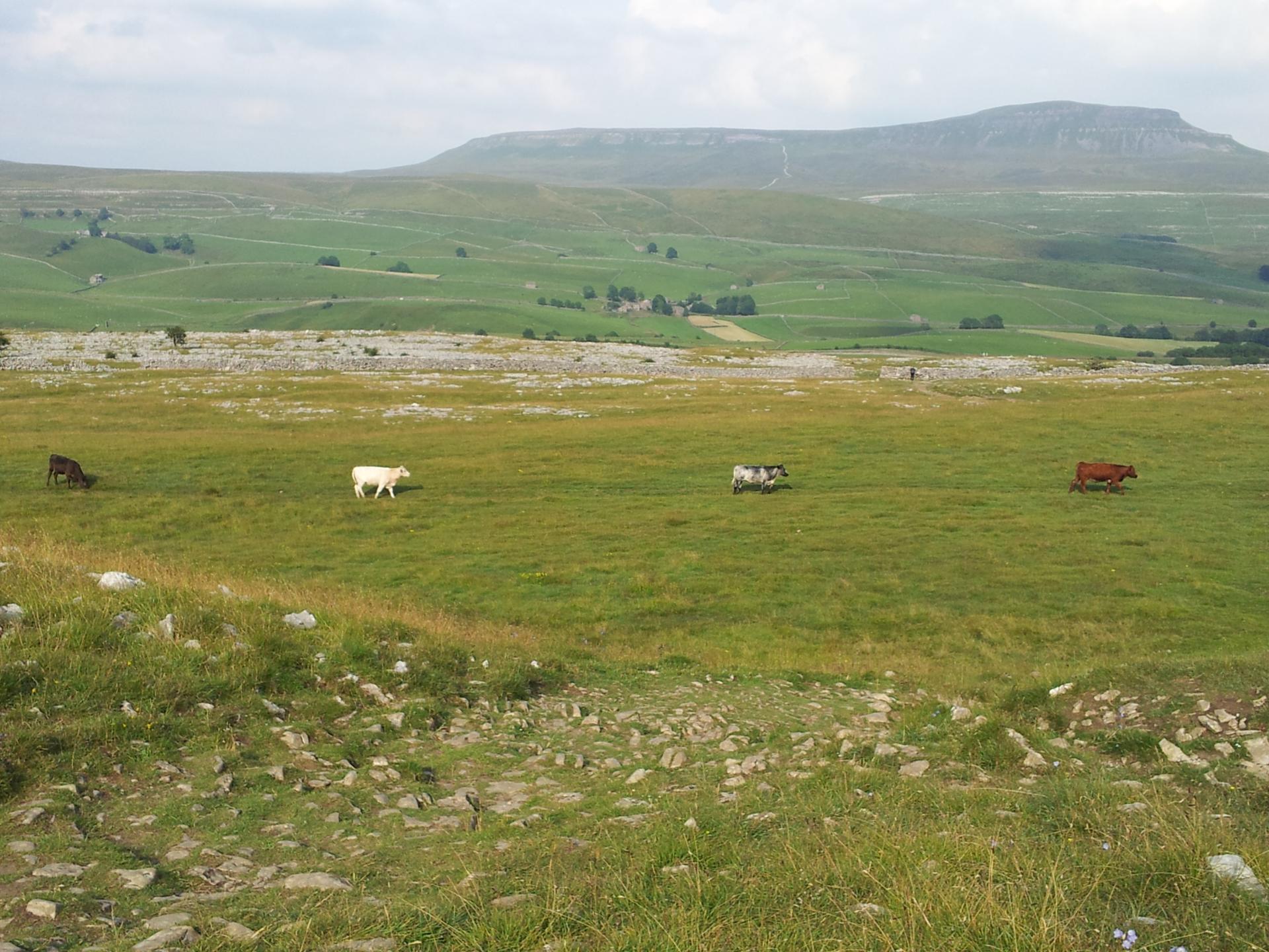 20130727_175143.jpg