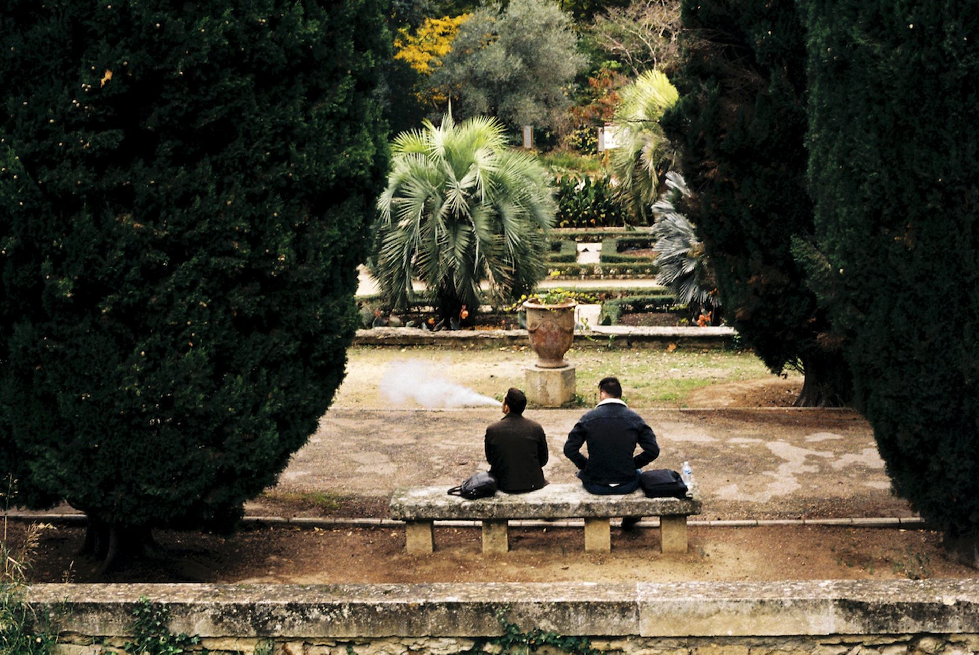 Il se souvient qu'il existait des jardins