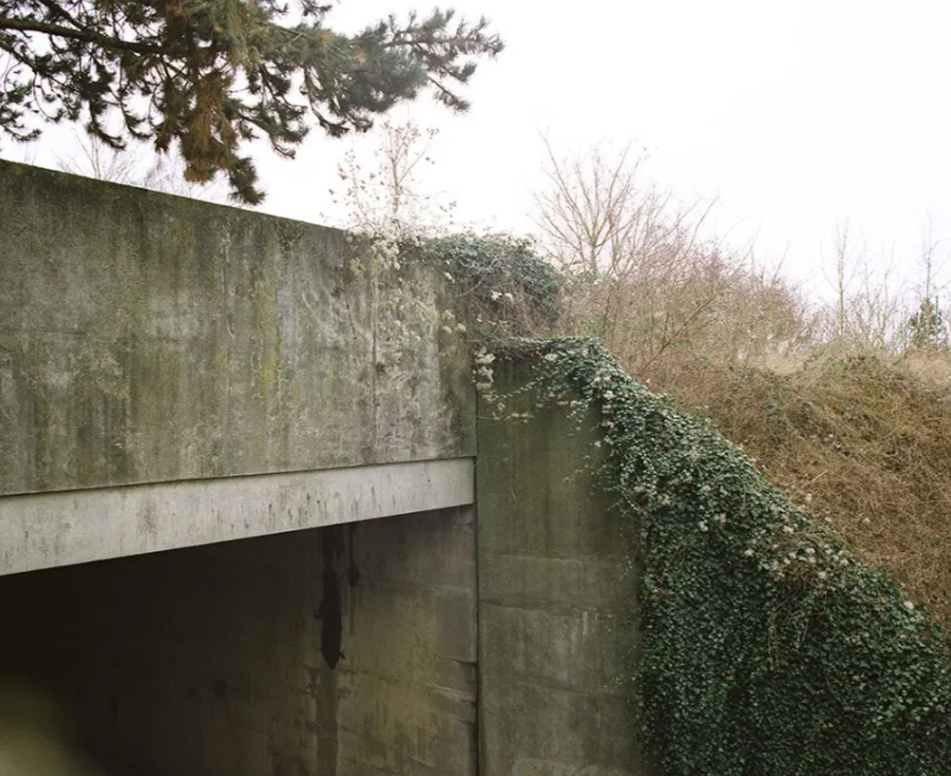 Paysage post-naturel