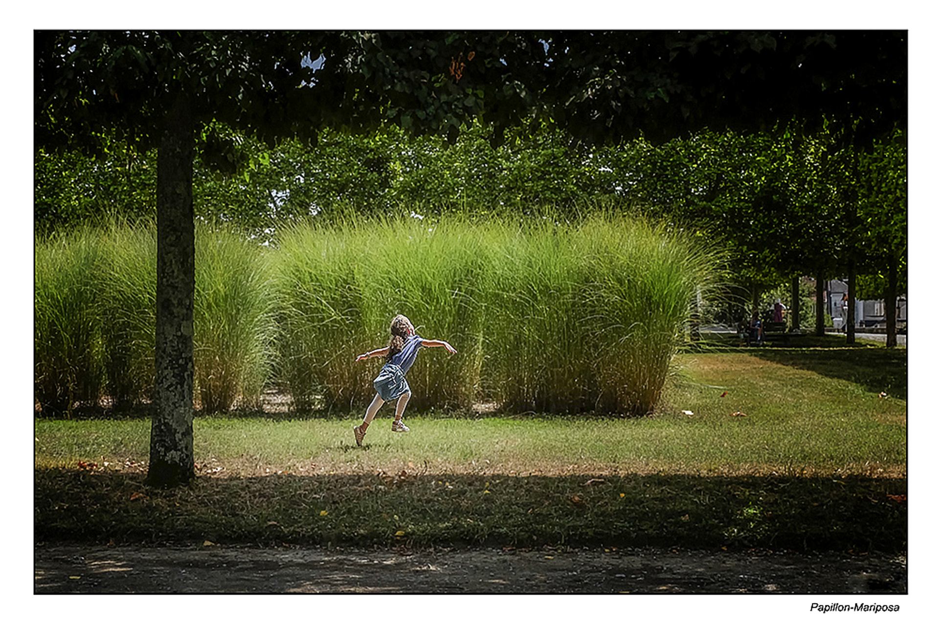 Papillon-Mariposa !.JPG