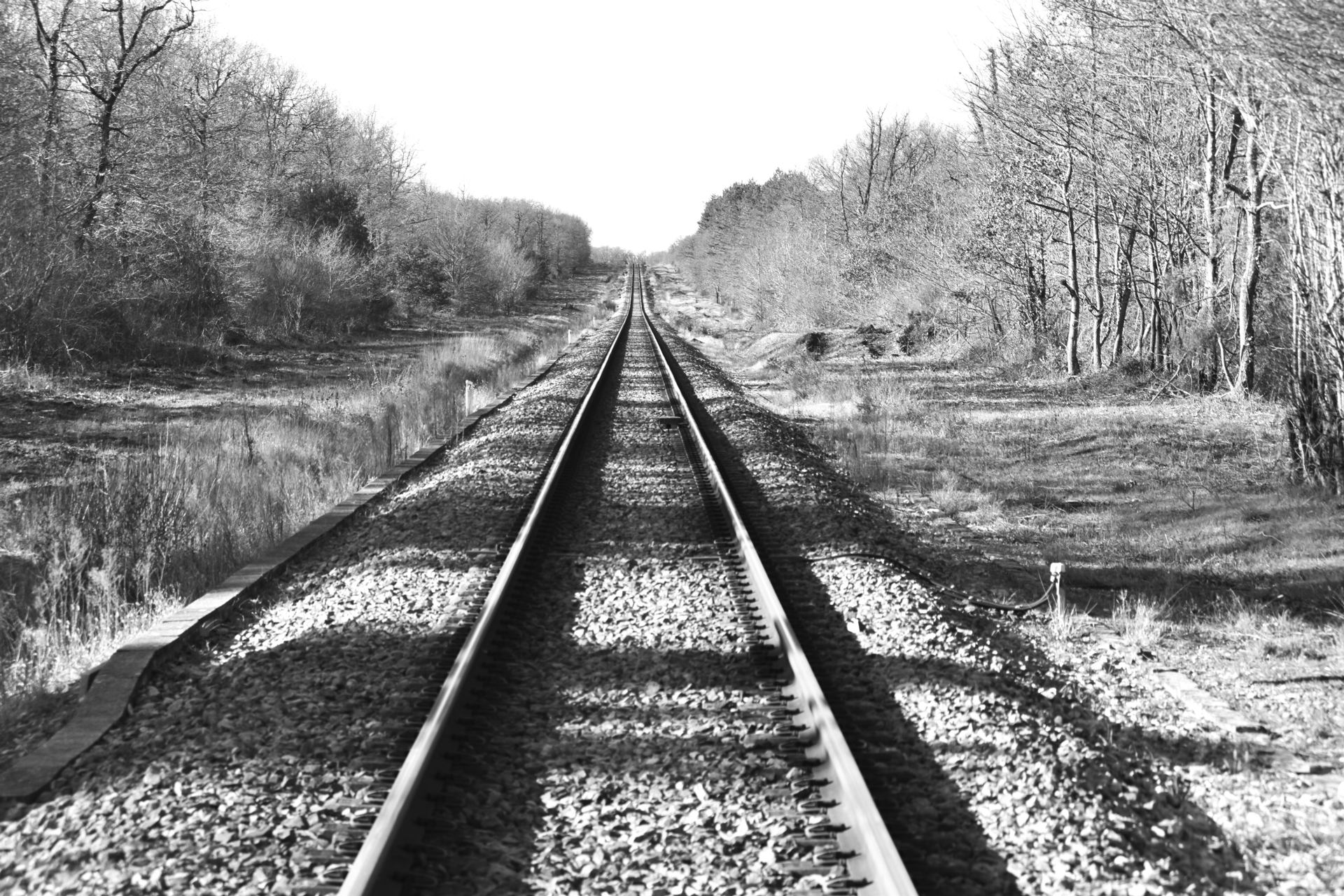 Si j'étais un mouvement