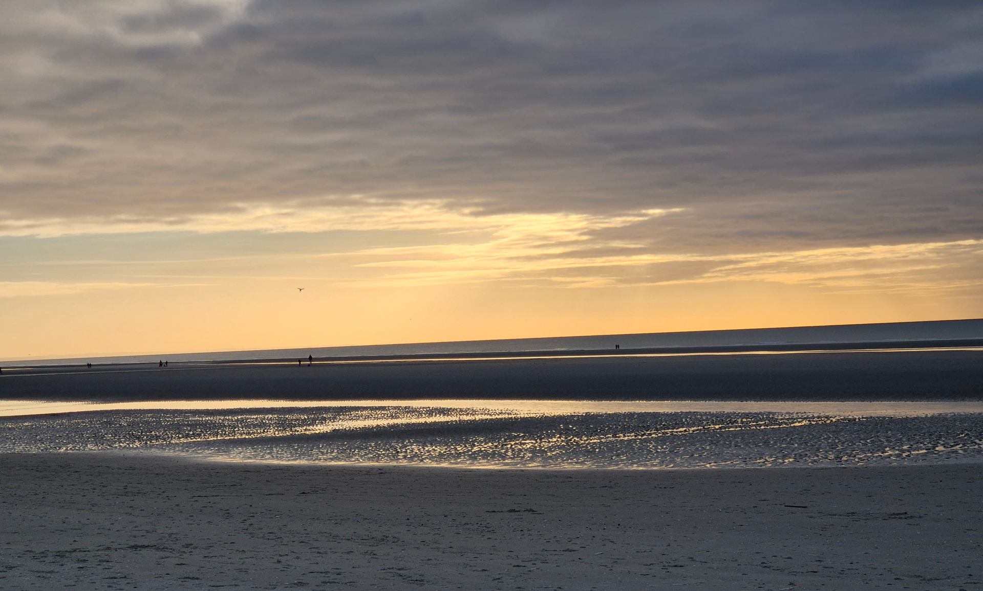 Duchess_Coucher de soleil sur la plage de Fort-Mahon - Décembre 2025