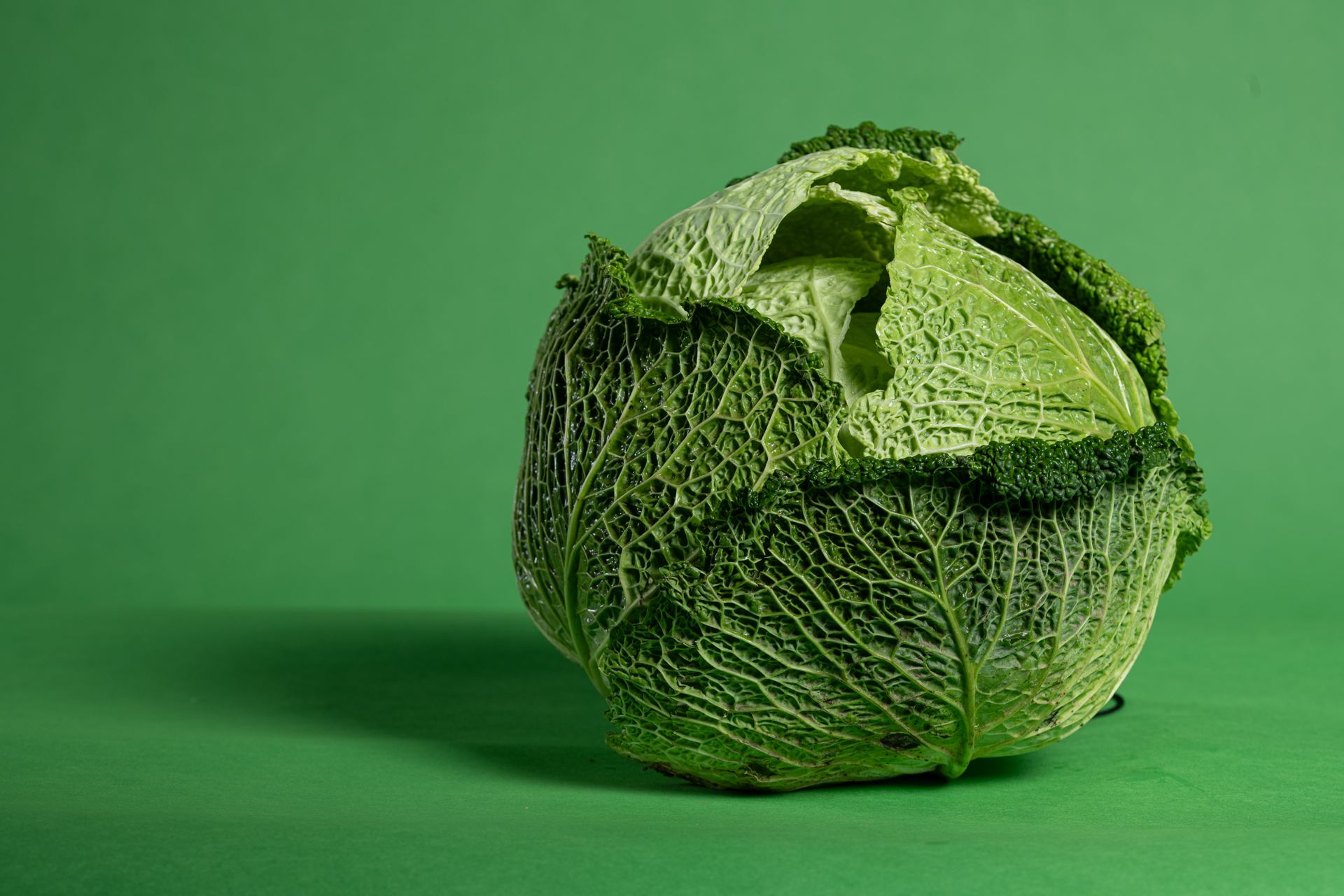 Le chou vert pose en hiver,