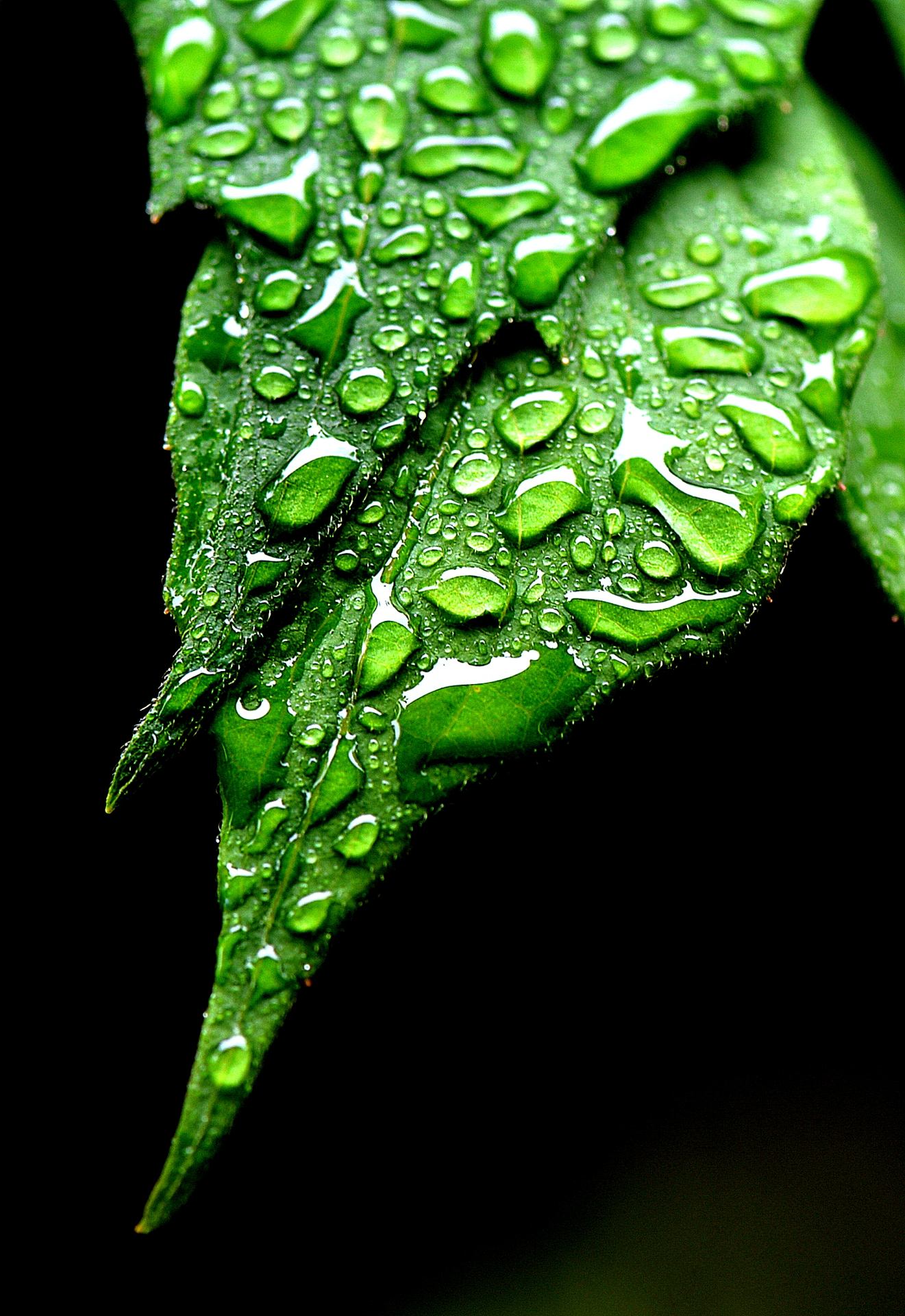 Jour de pluie