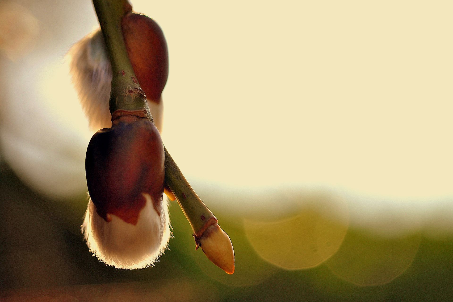 Un air de printemps