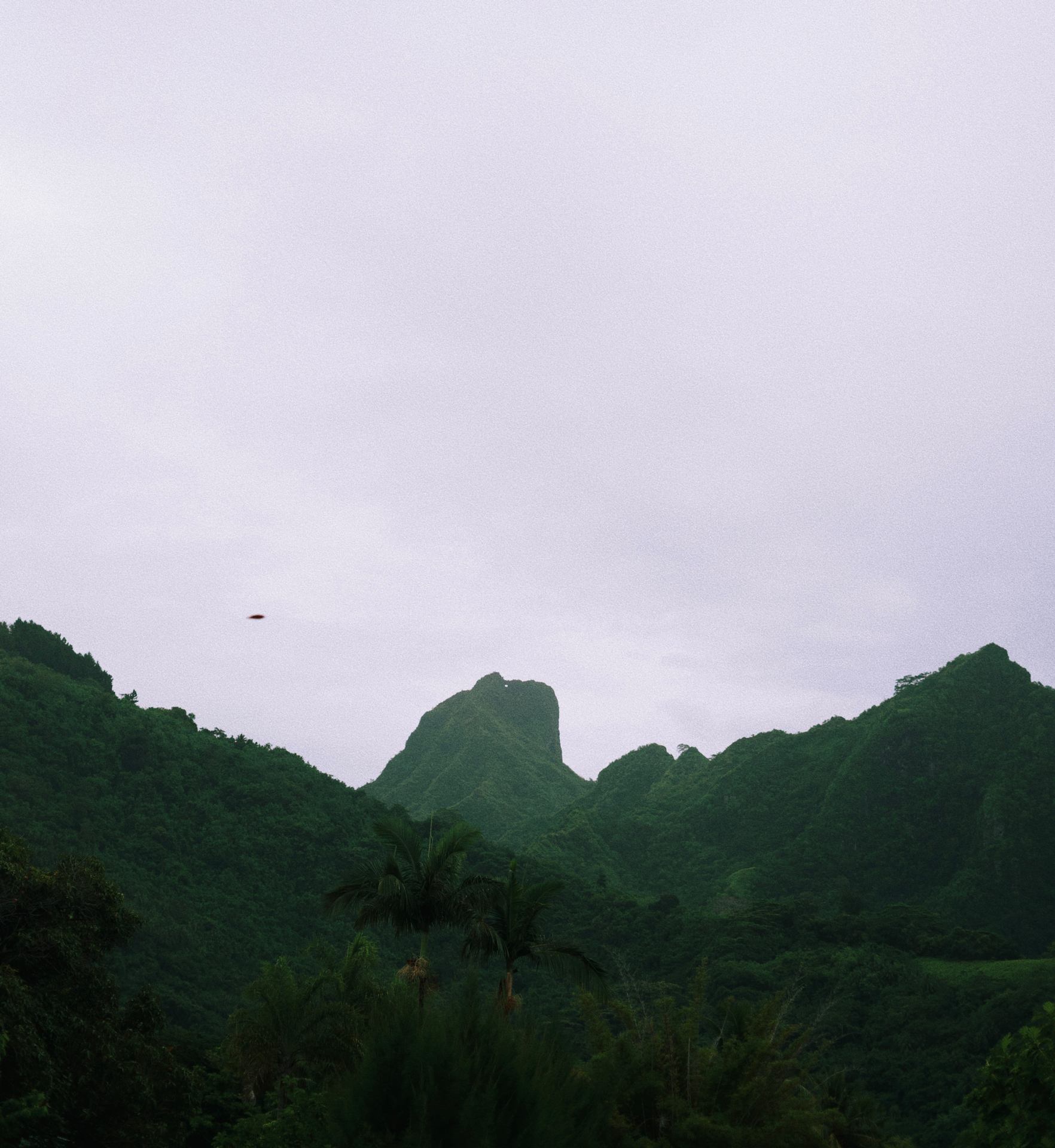 Visage sorti de terre