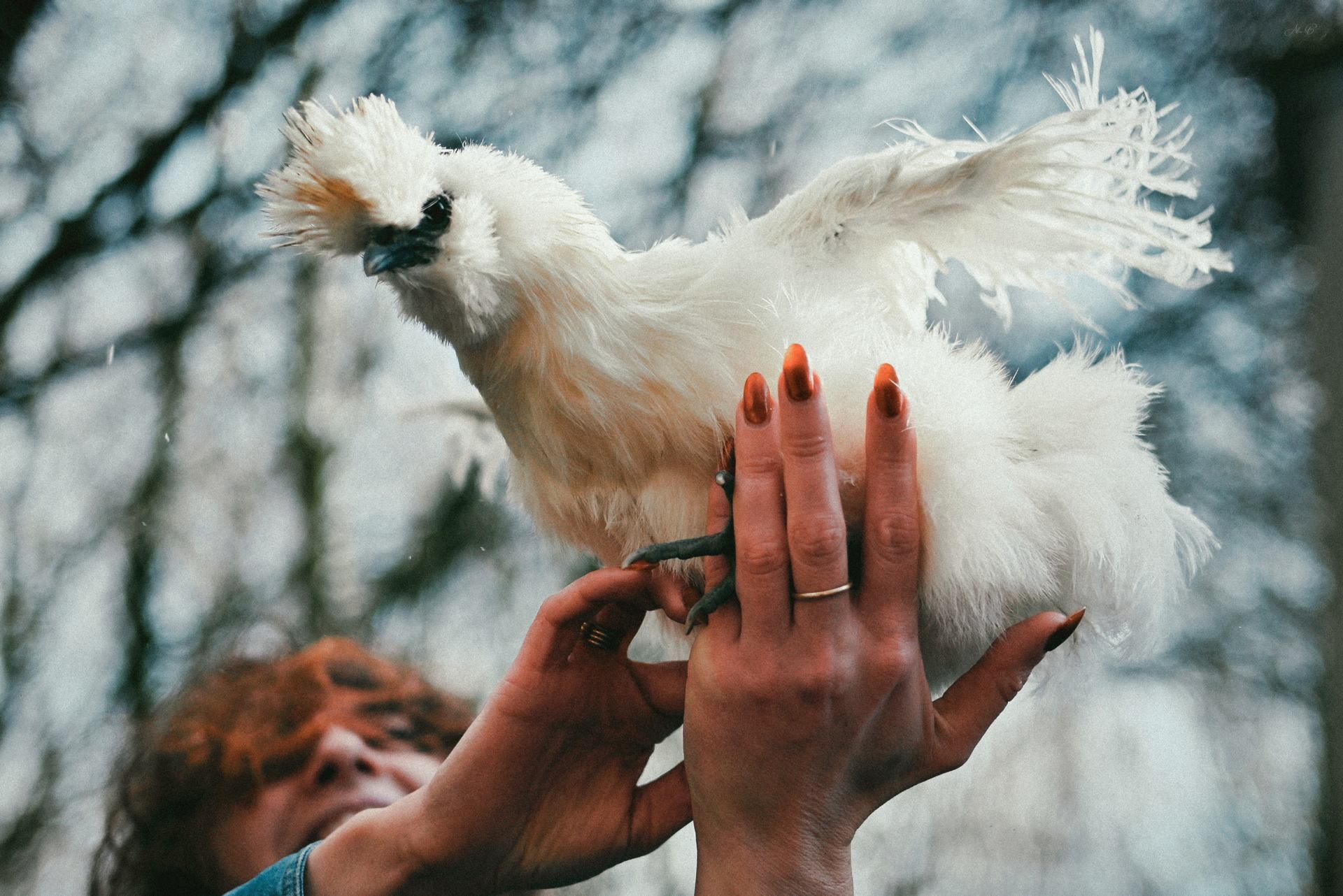 Monique et Cléa (2/2)