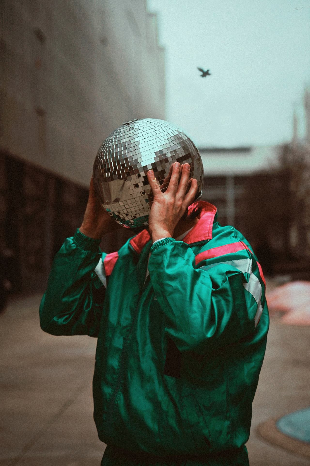 Veridis quo: Discovery the very disco