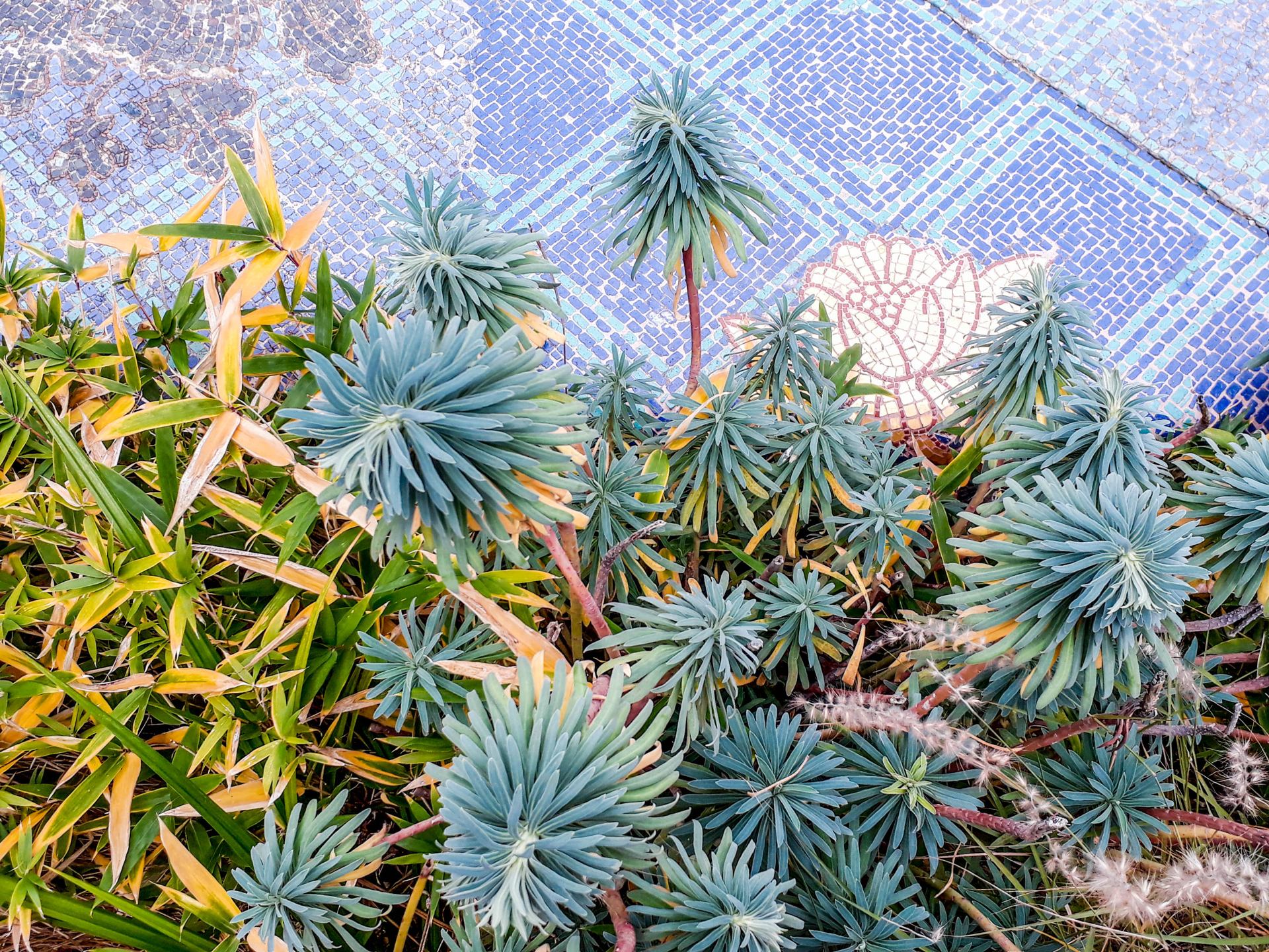 20171118_123902.jpg