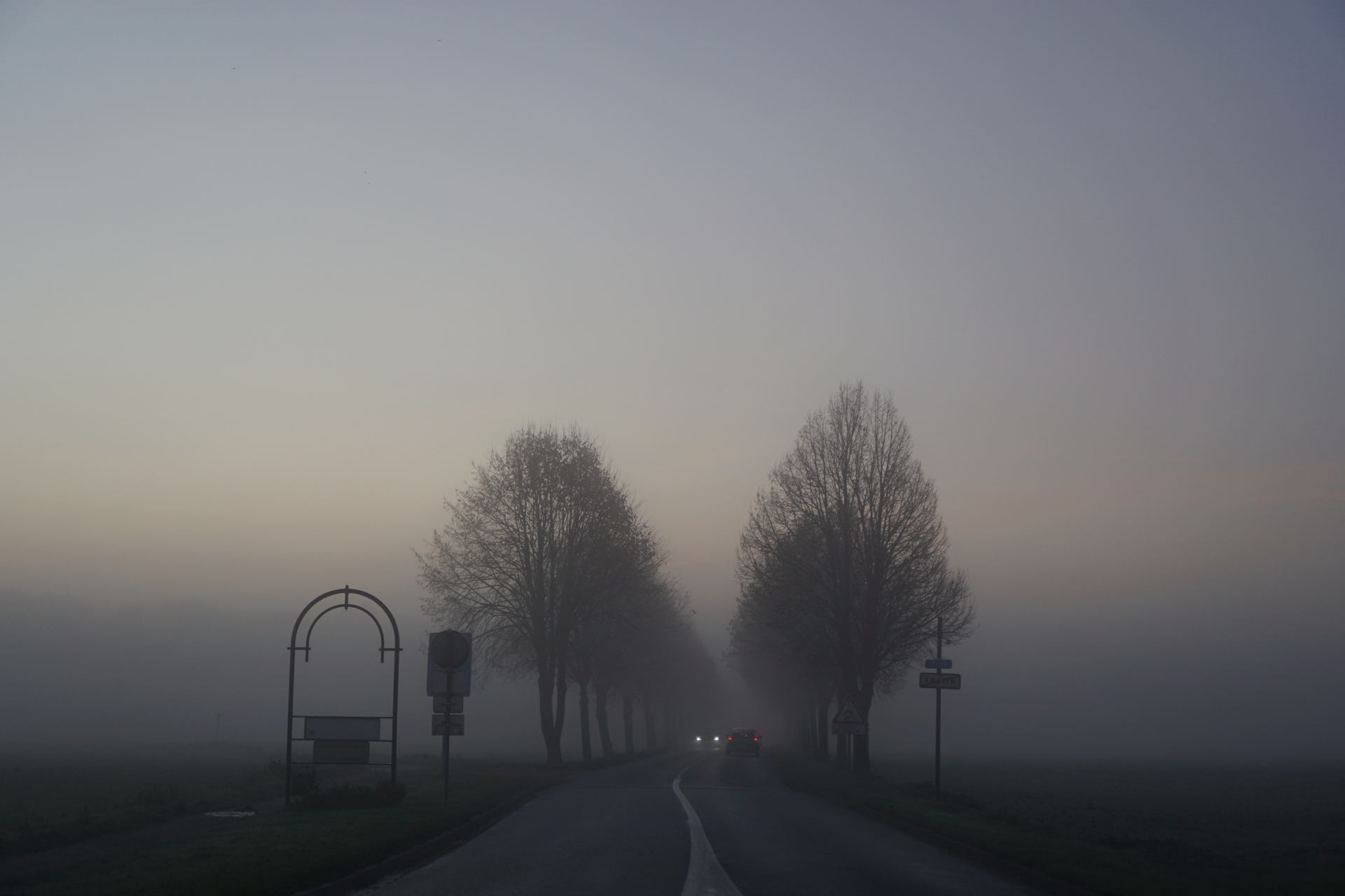 Au travers de la brume #2