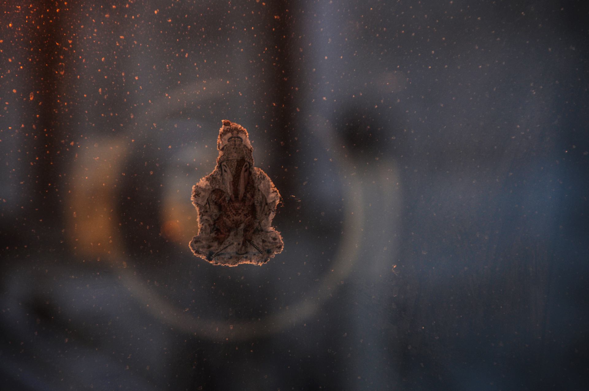 Ganesh at sunset