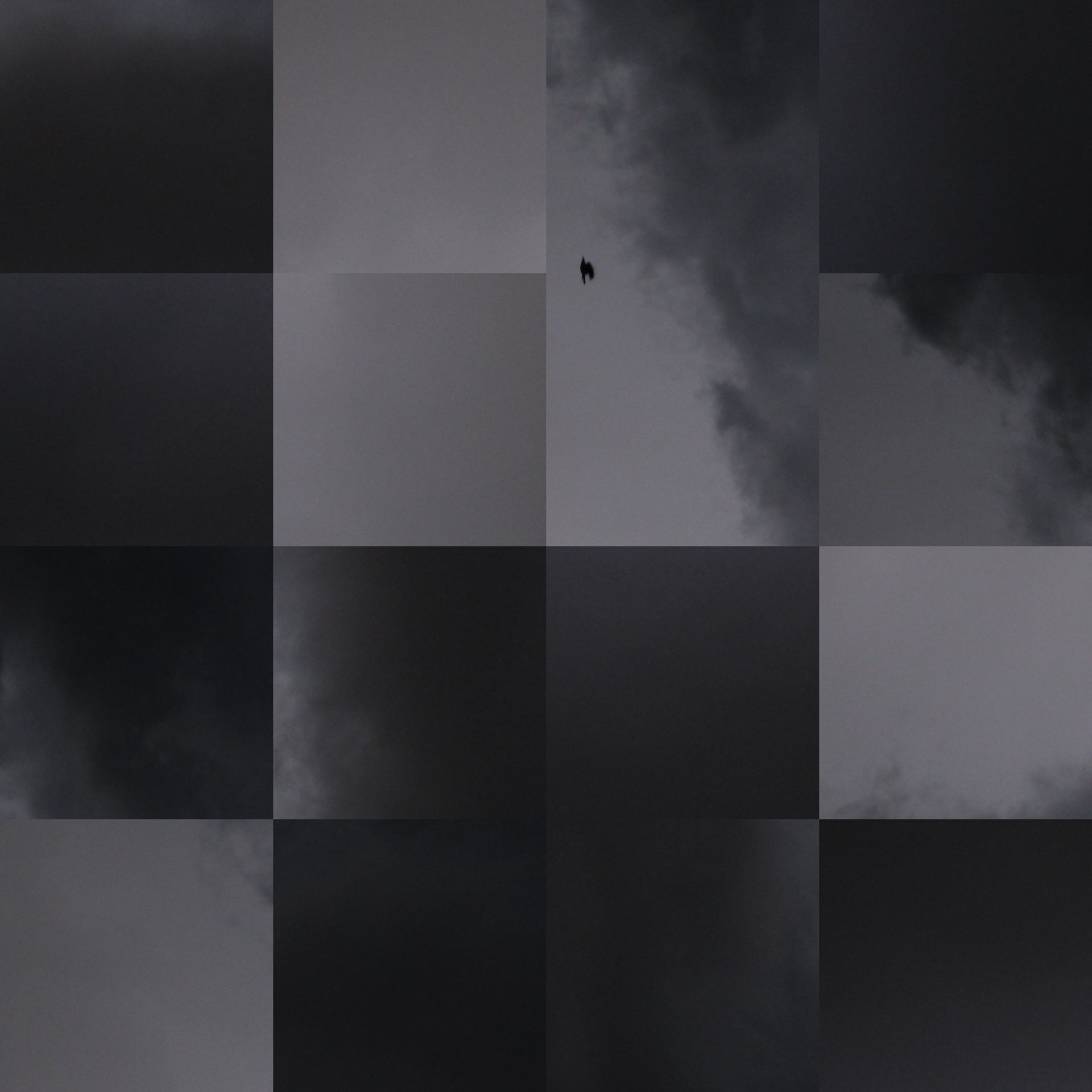 L'ascension du corbeau