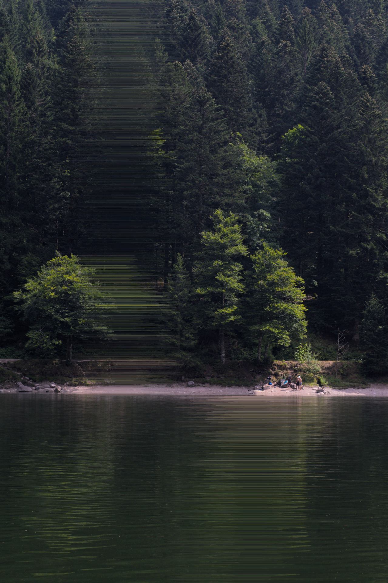 La fuite d'un reflet