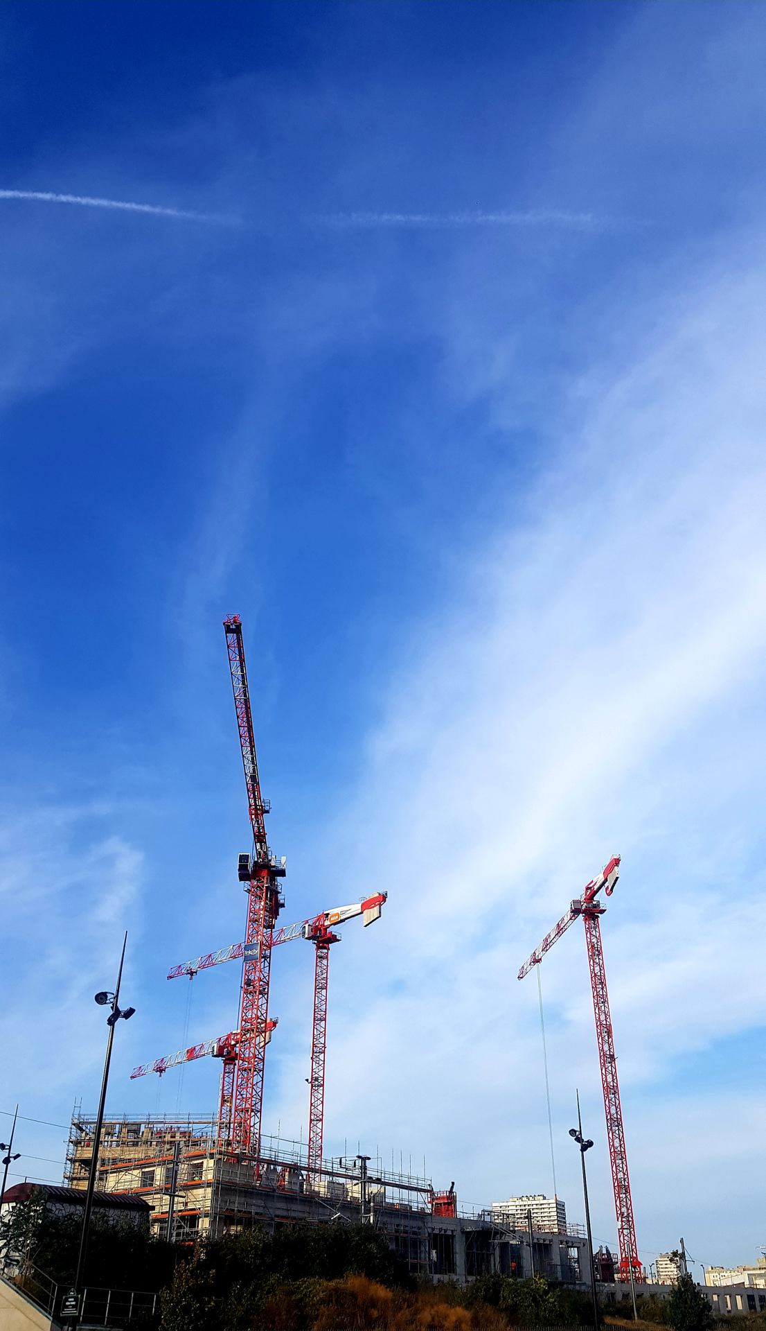 Grue