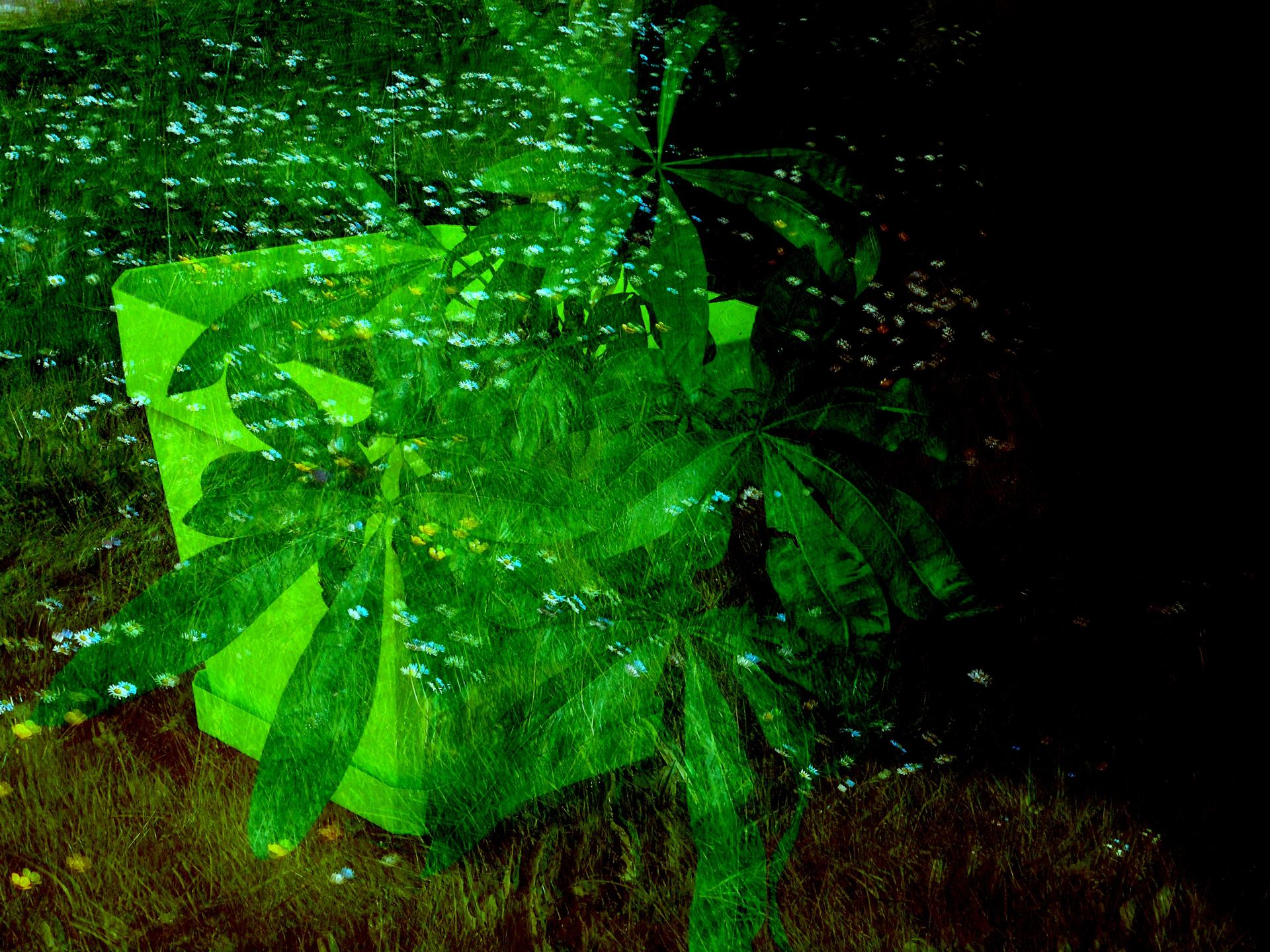 DSCN8867.JPG