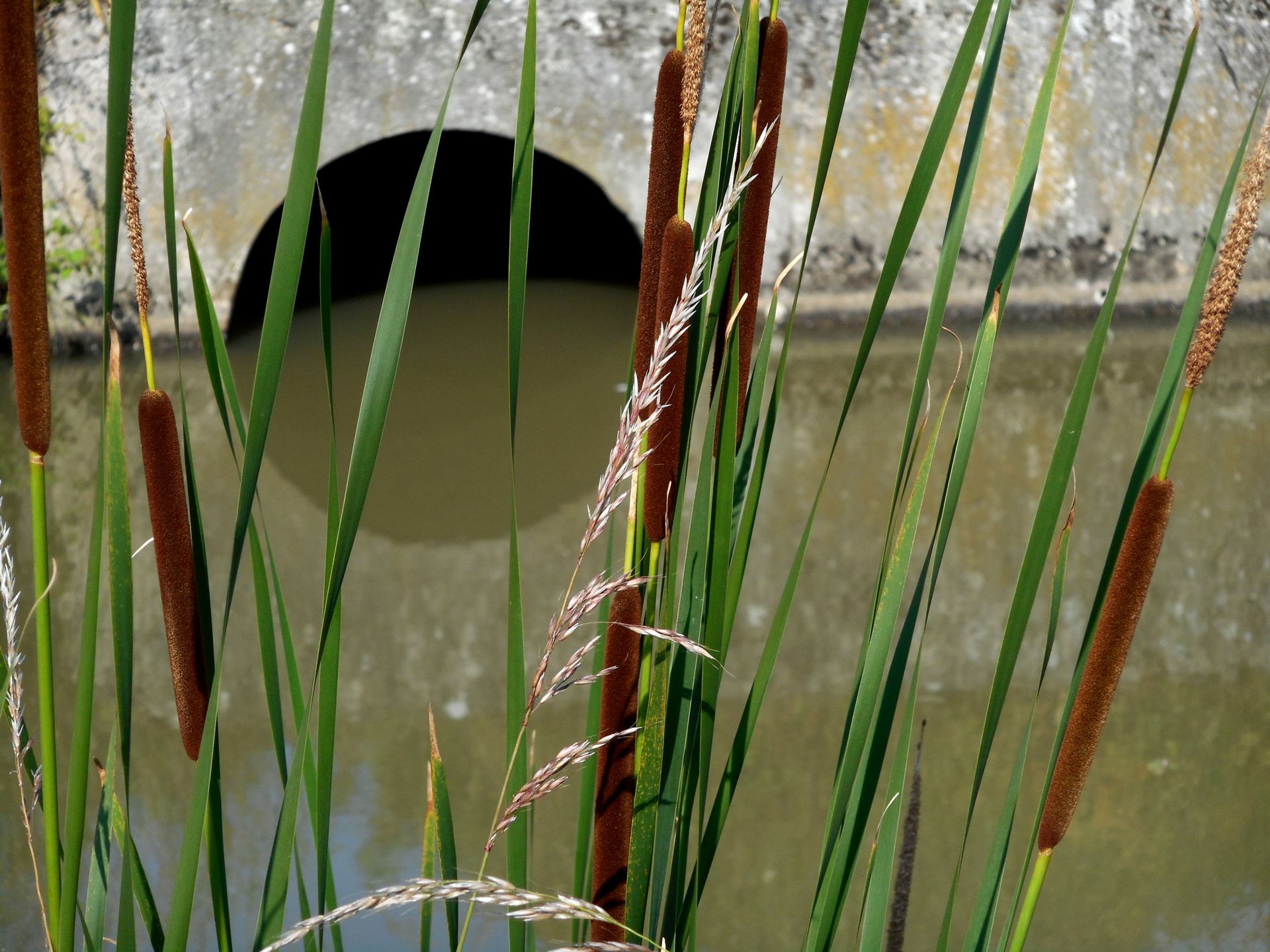 DSCN9032.JPG
