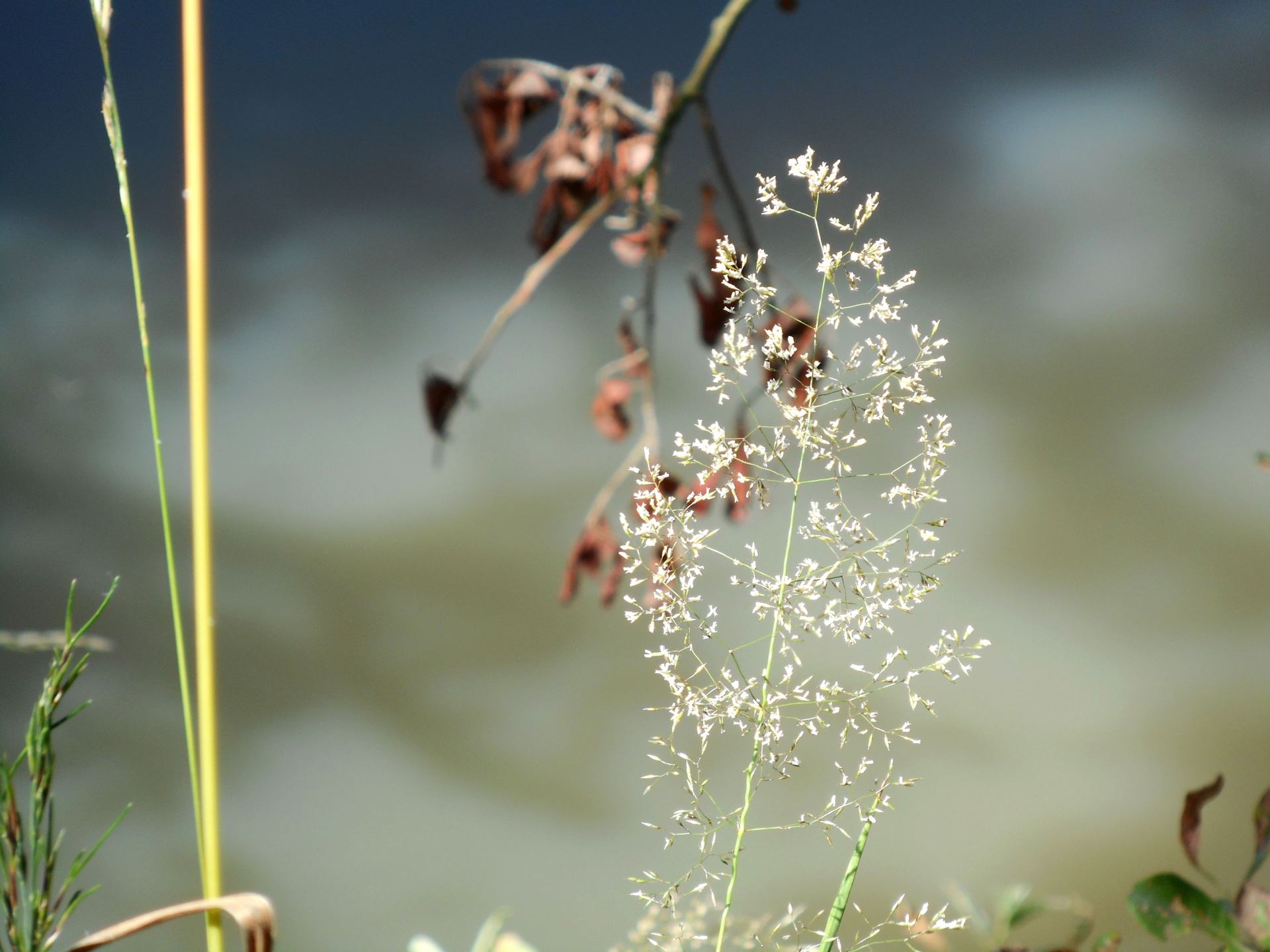 DSCN9091.JPG