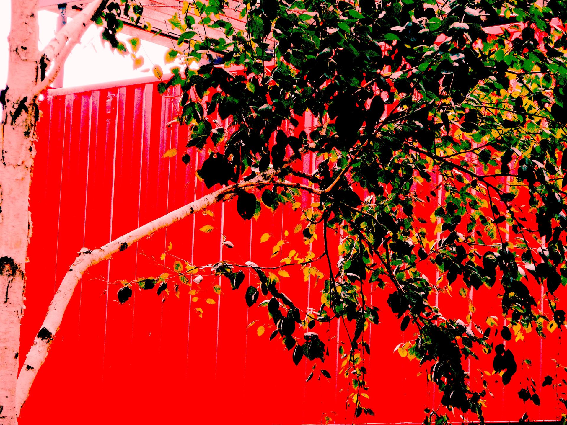 pourvu de rouge