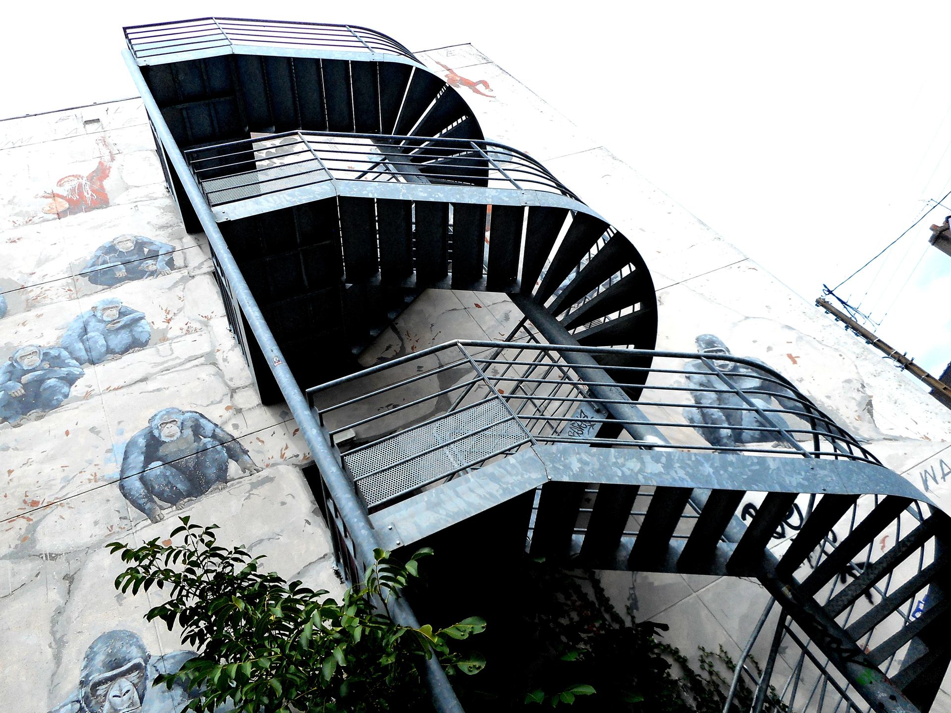 gare aux gorilles
